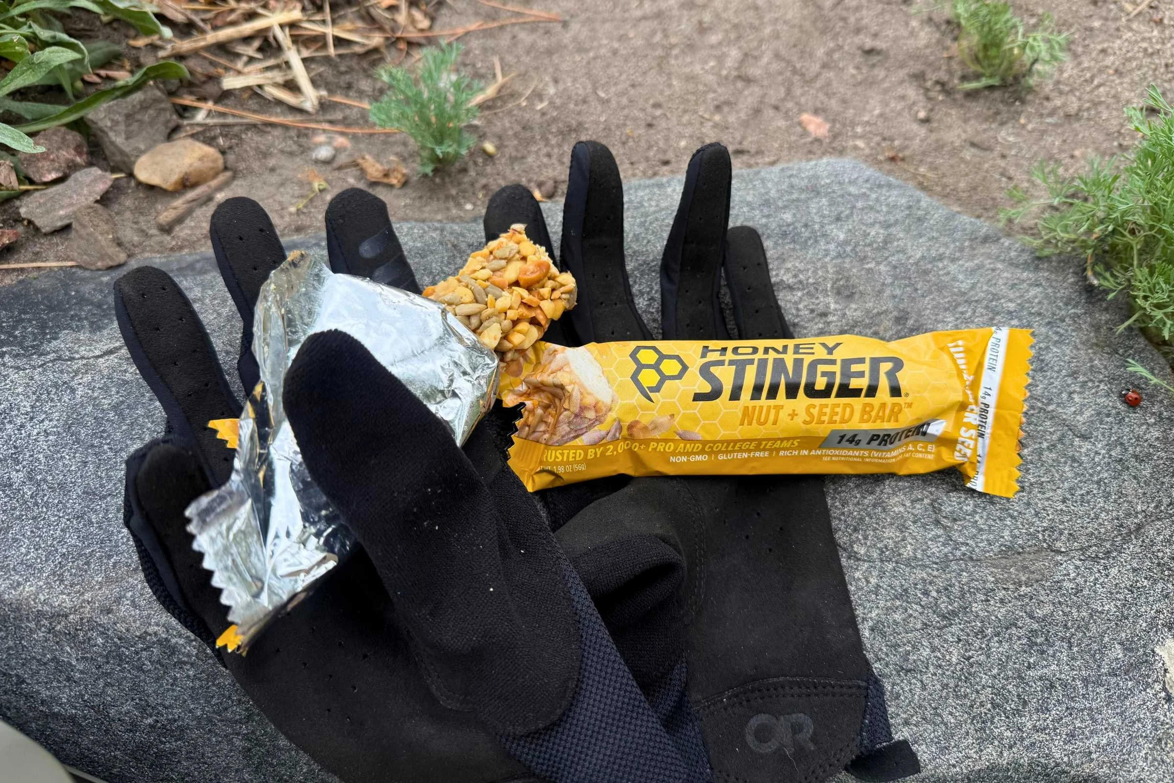 gloved hands holding a honey stinger protein bar