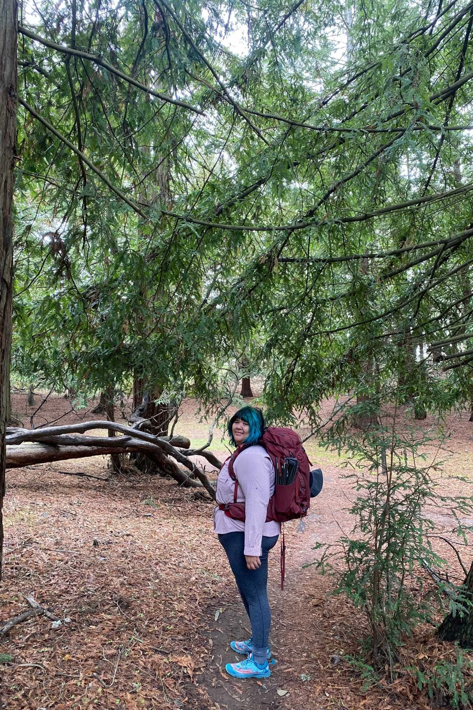 Plus size hiker carrying the Gregory Kalmia backpacking pack on a wooded trail