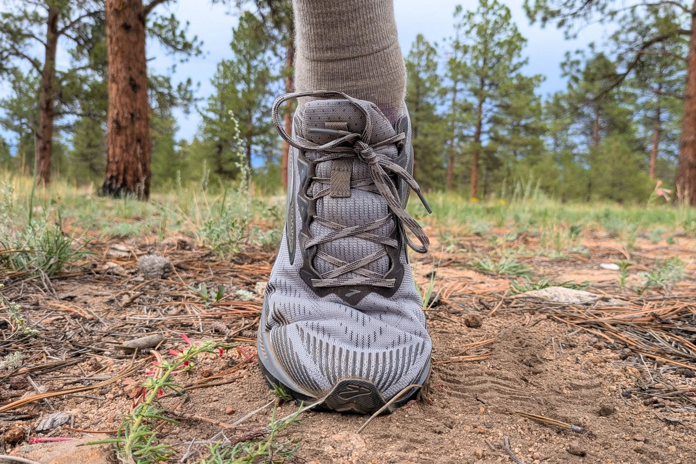Close-up of Brooks Ghost trail running shoes from the top.