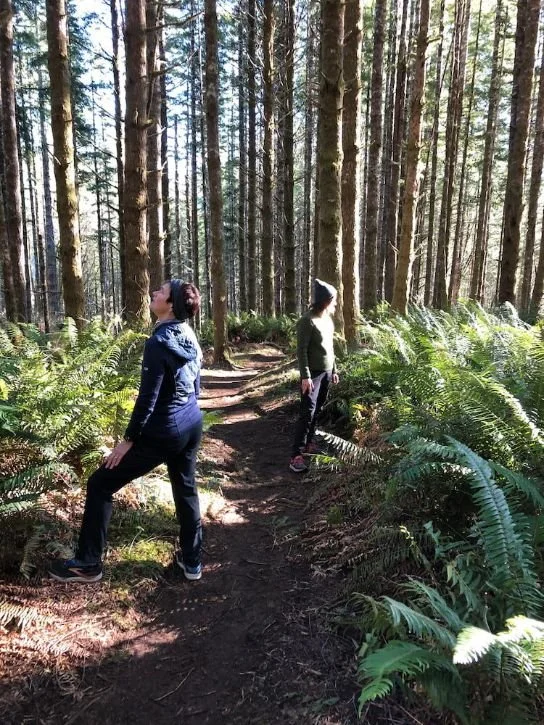 Getting Started With Forest Bathing