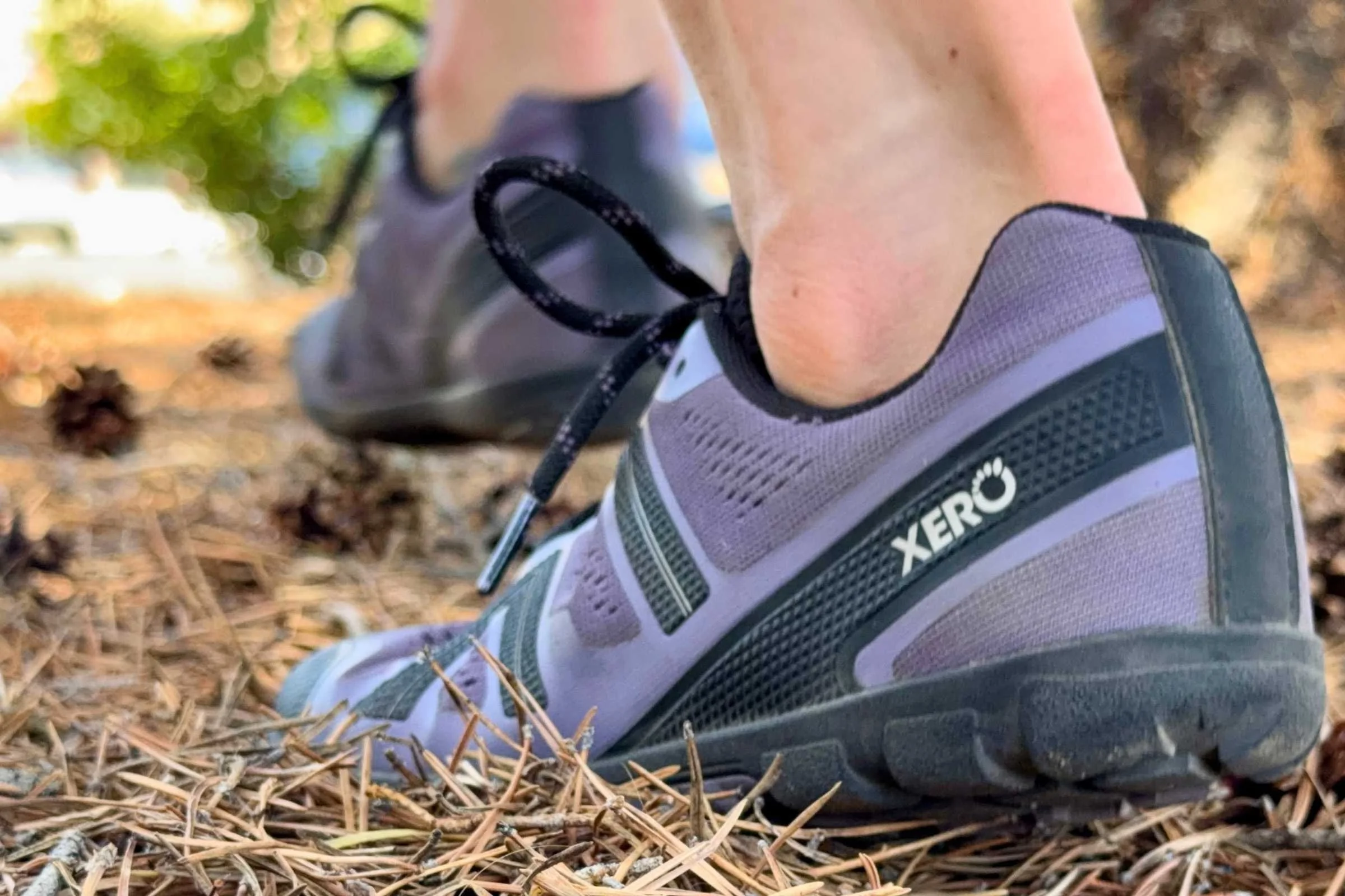 Walking across pine needles in the Xero Mesa Trail II. Photo courtesy Maggie Nichols