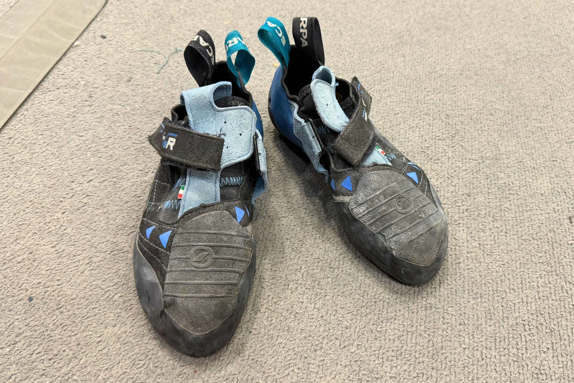 Scarpa Instinct VSR on gym floor