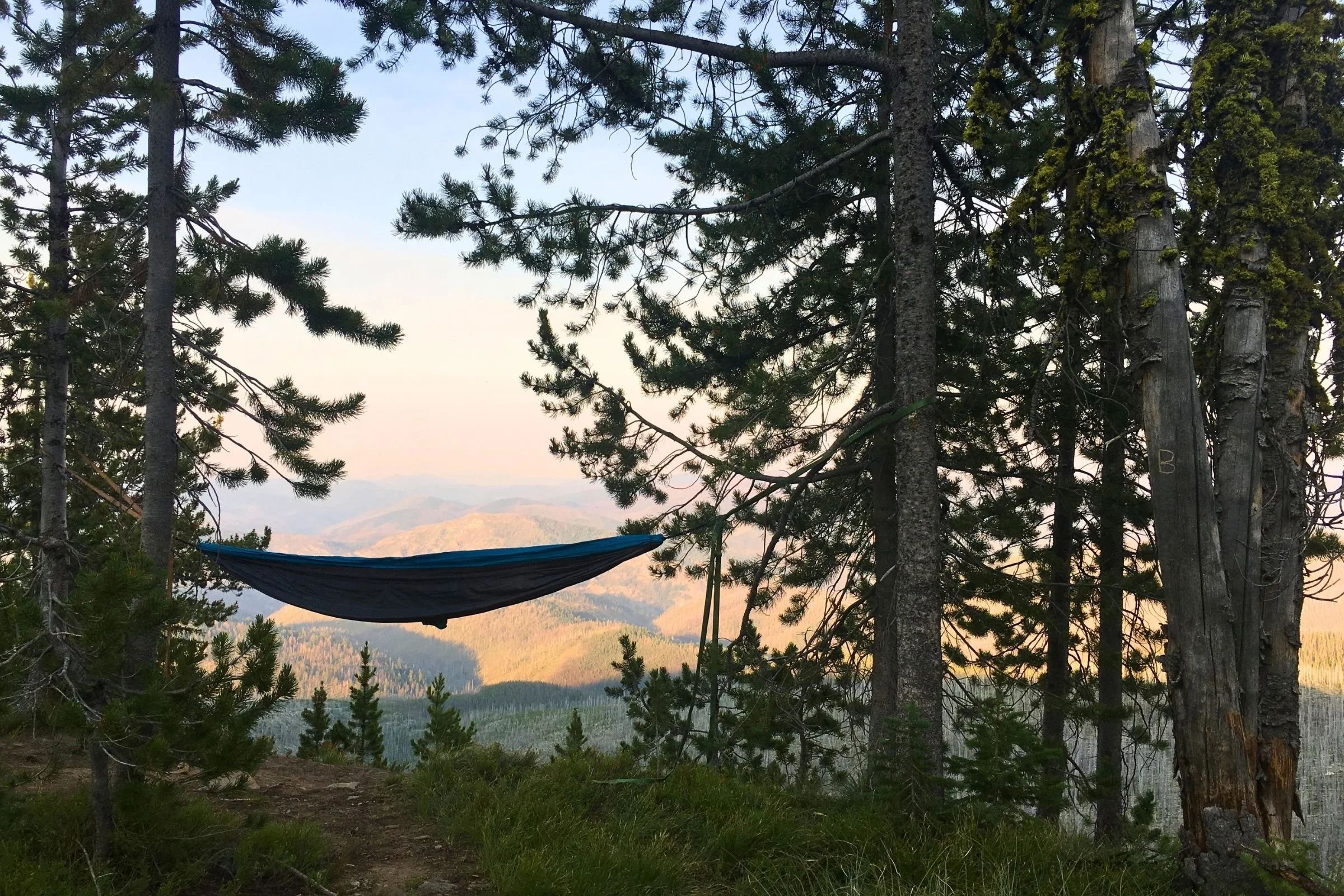 ENO DoubleNest hammock hung between two pine trees in the Bitterroot Mountains