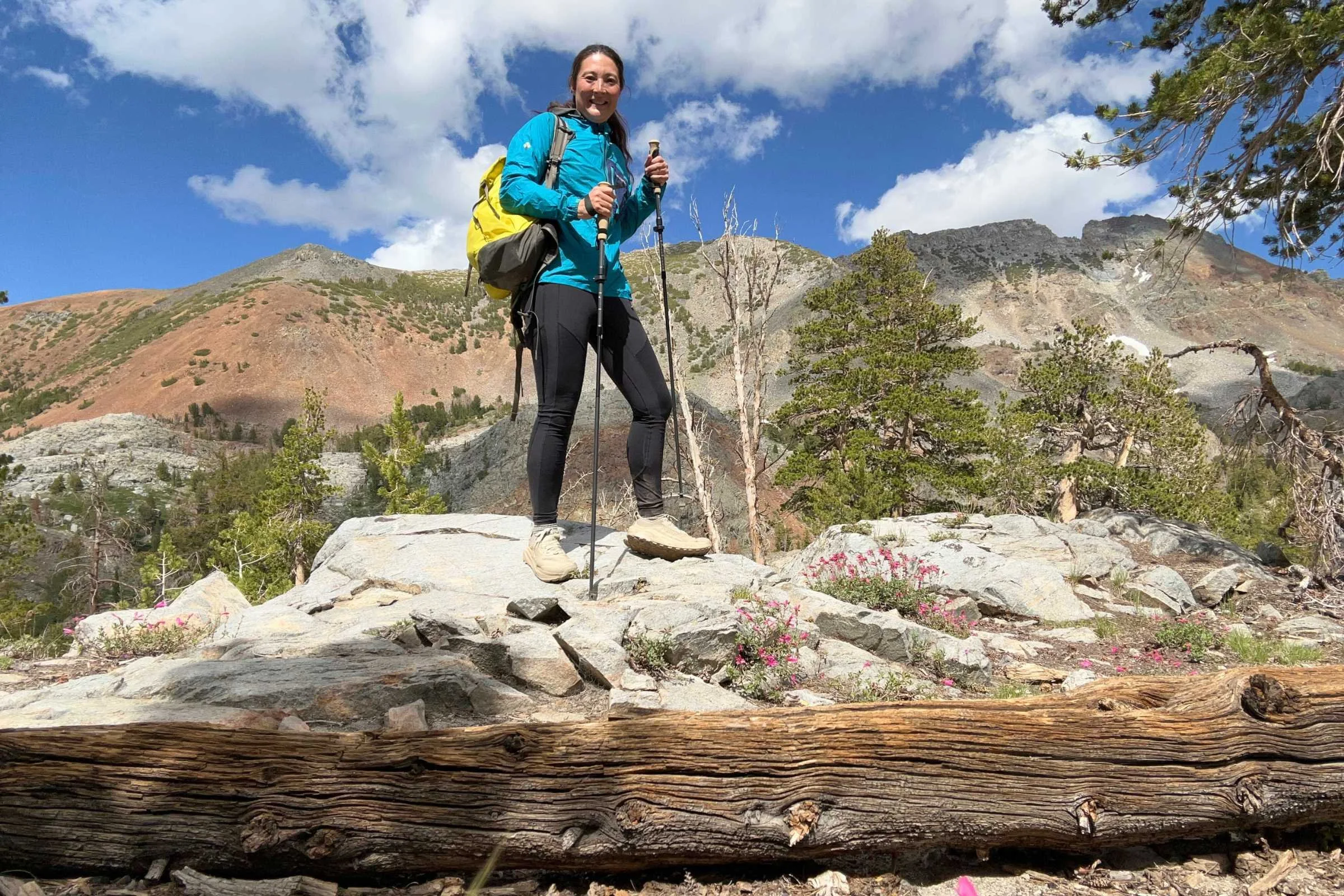 The author standing on a boulder holding the Gossamer Gear FT3 poles with mountains in the background