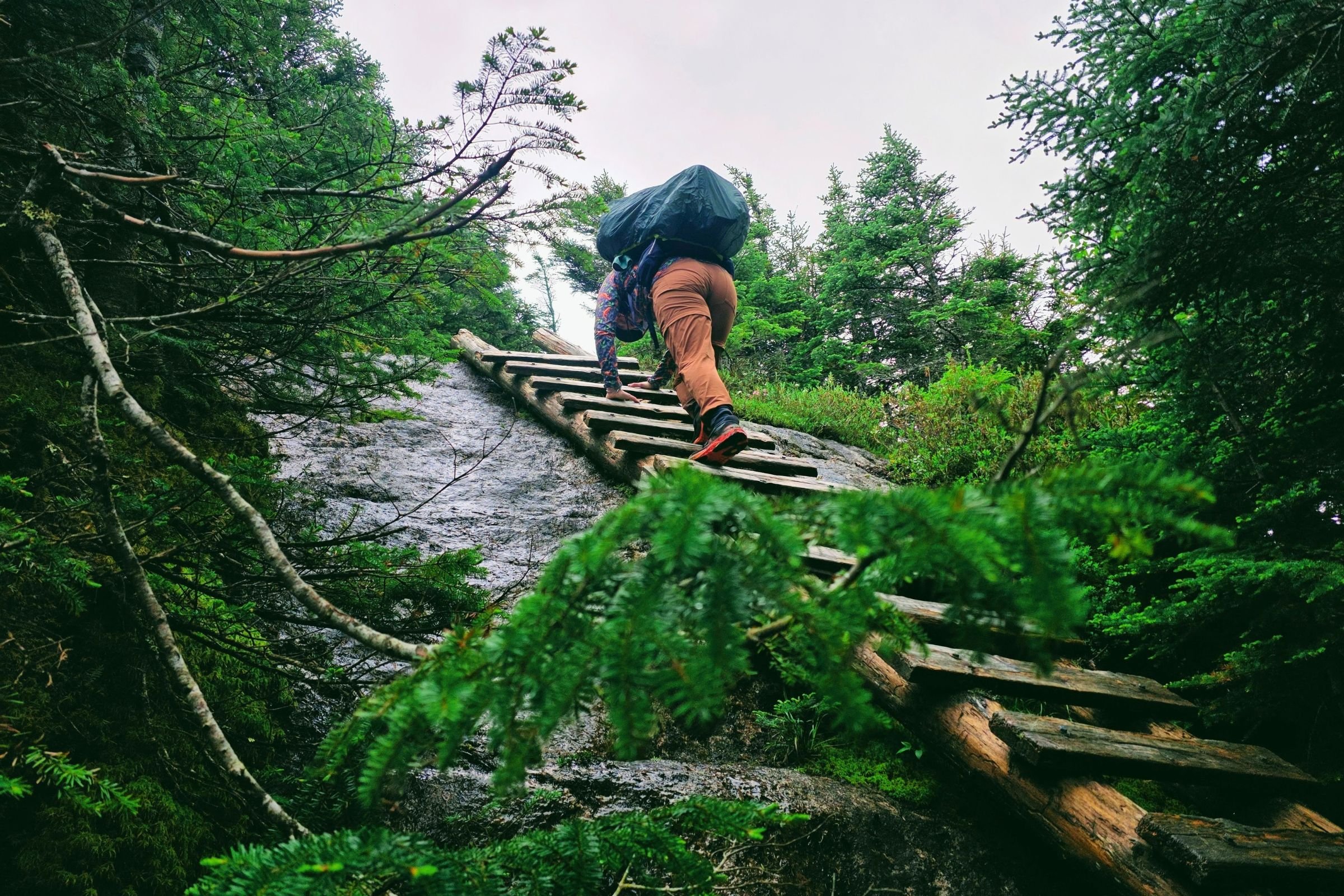 Log ladders and steel rebar at key points help reduce the difficulty of this loop hike. Photo by Aubri Drake.