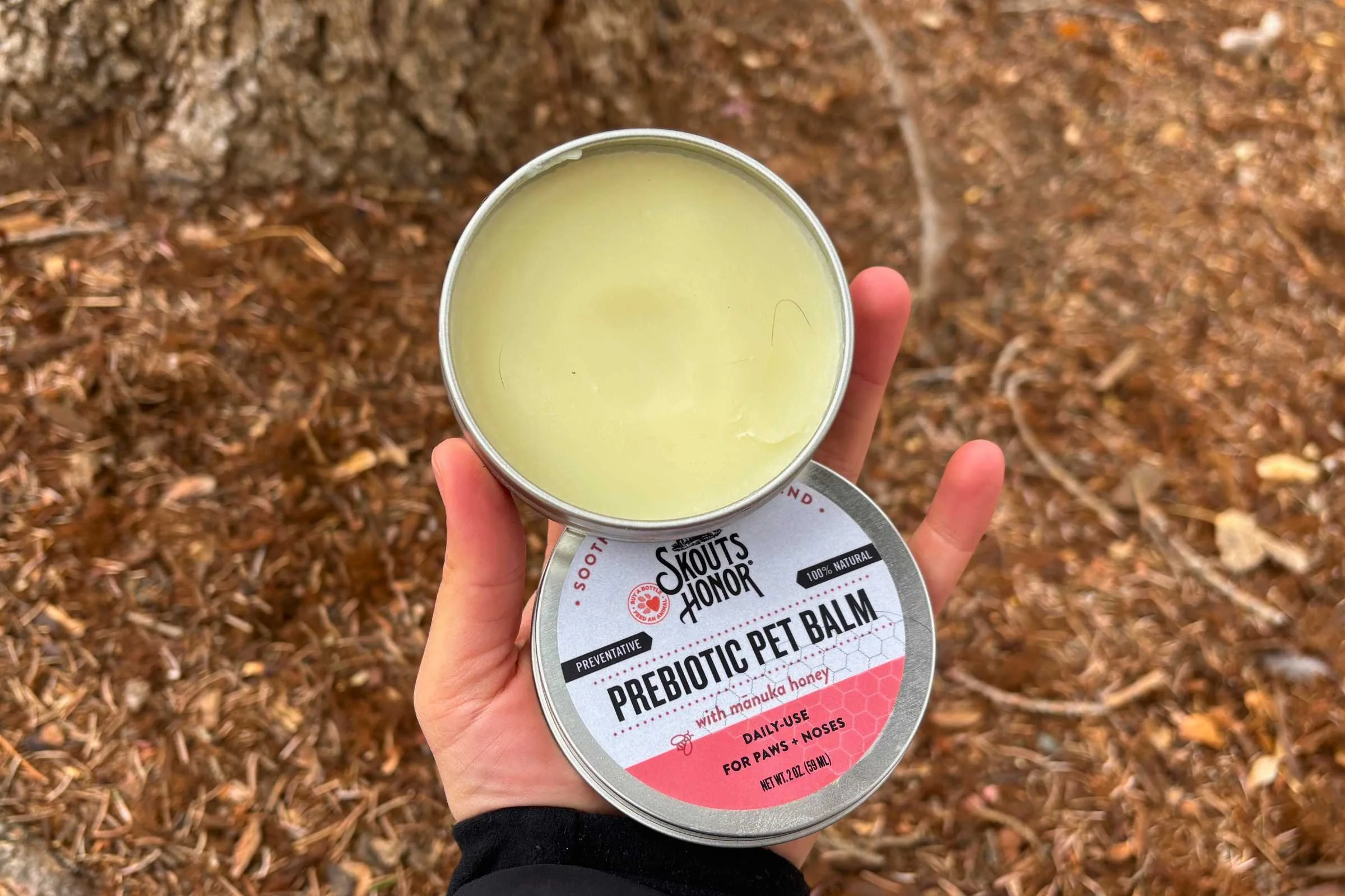 Hand holding tin of Skout’s Honor paw balm