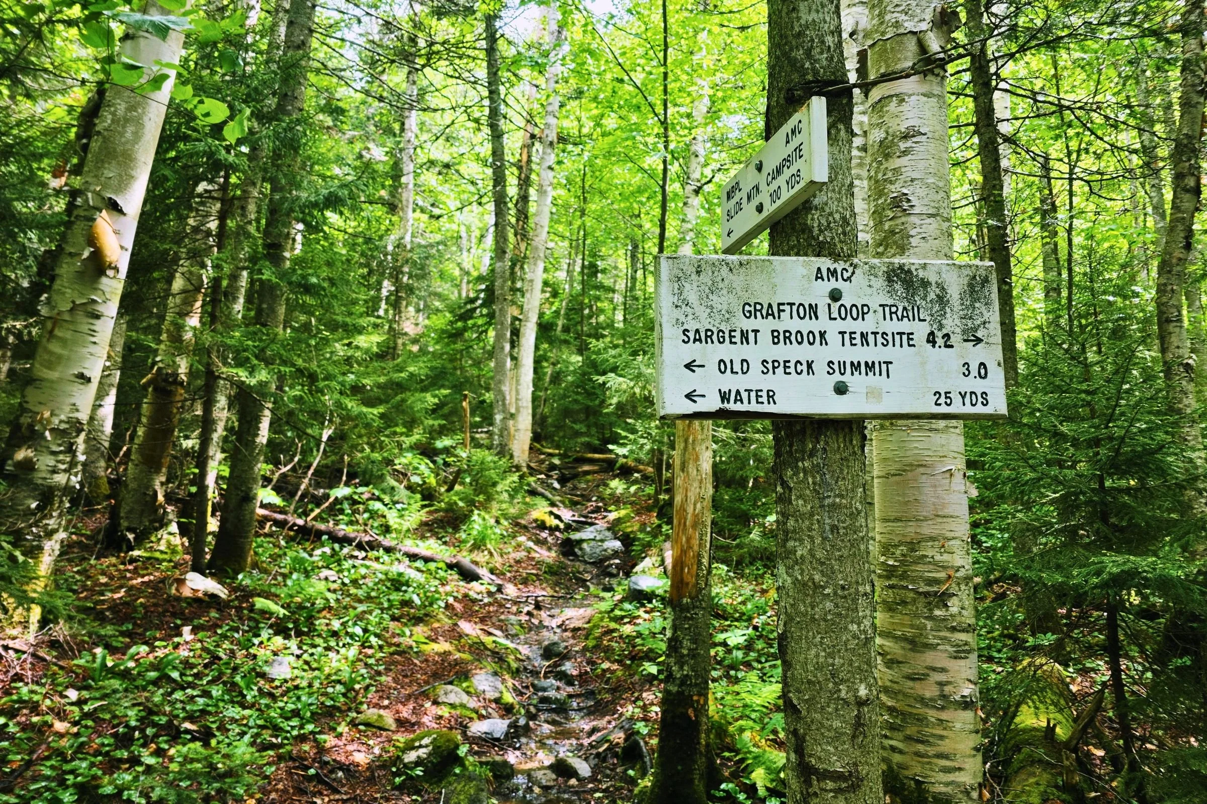 Frequent signage at intersections makes navigation relatively straightforward. Photo by Aubri Drake.