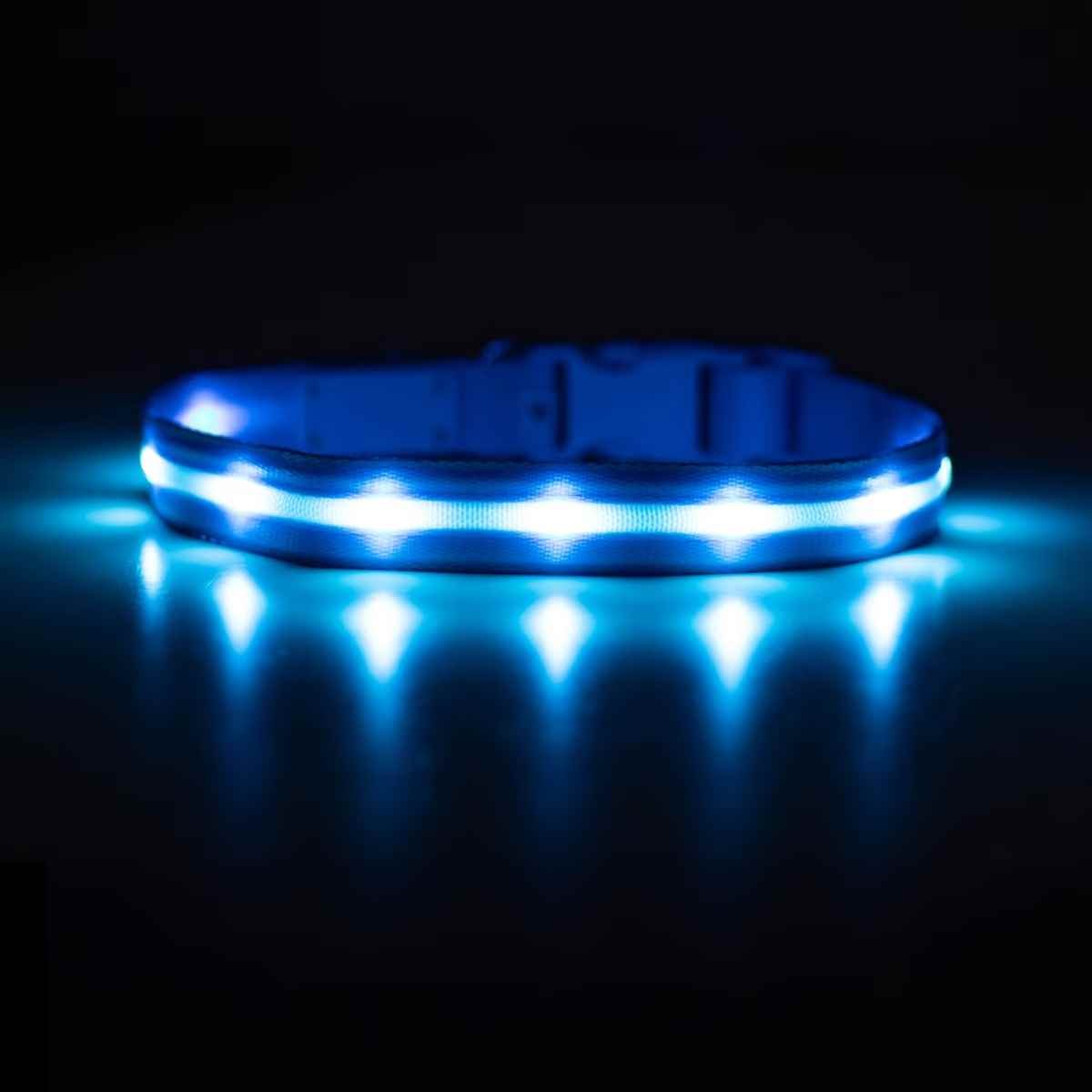 Blazin LED Dog Collar
