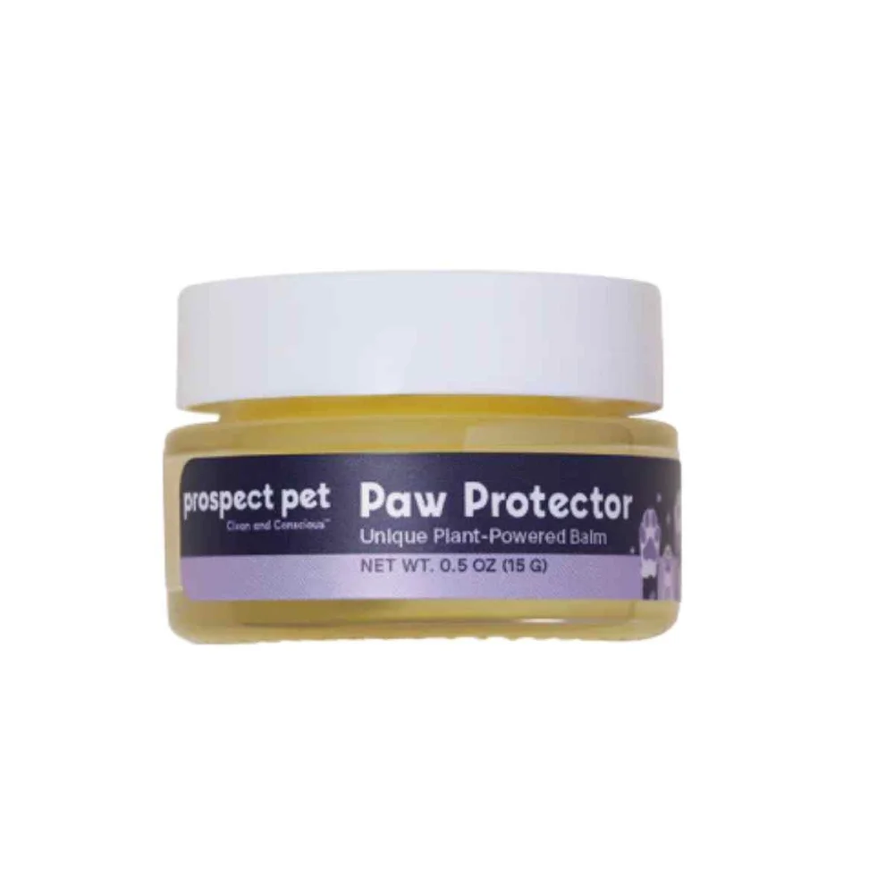 6 Best Dog Paw Balms of 2026 (Tested & Reviewed)