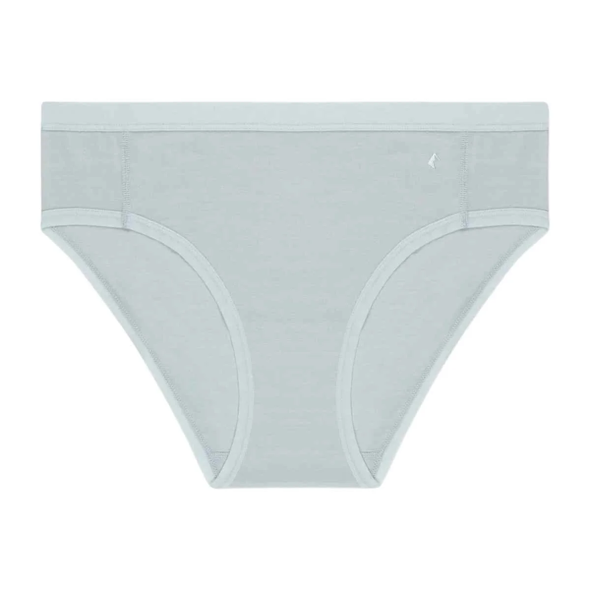 Ridge Merino Hipster Brief Underwear