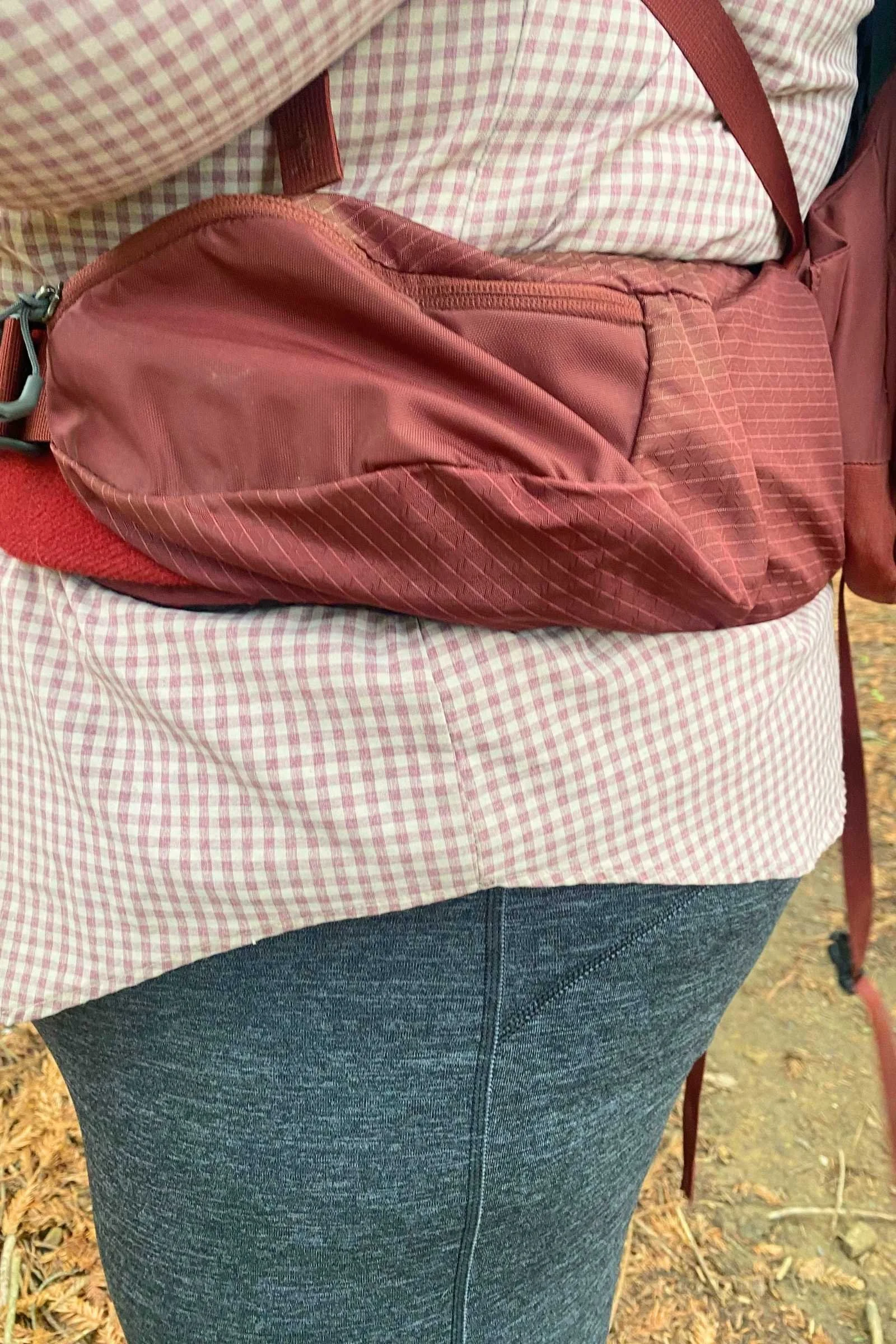 Close-up of hip belt on the Gregory Kalmia