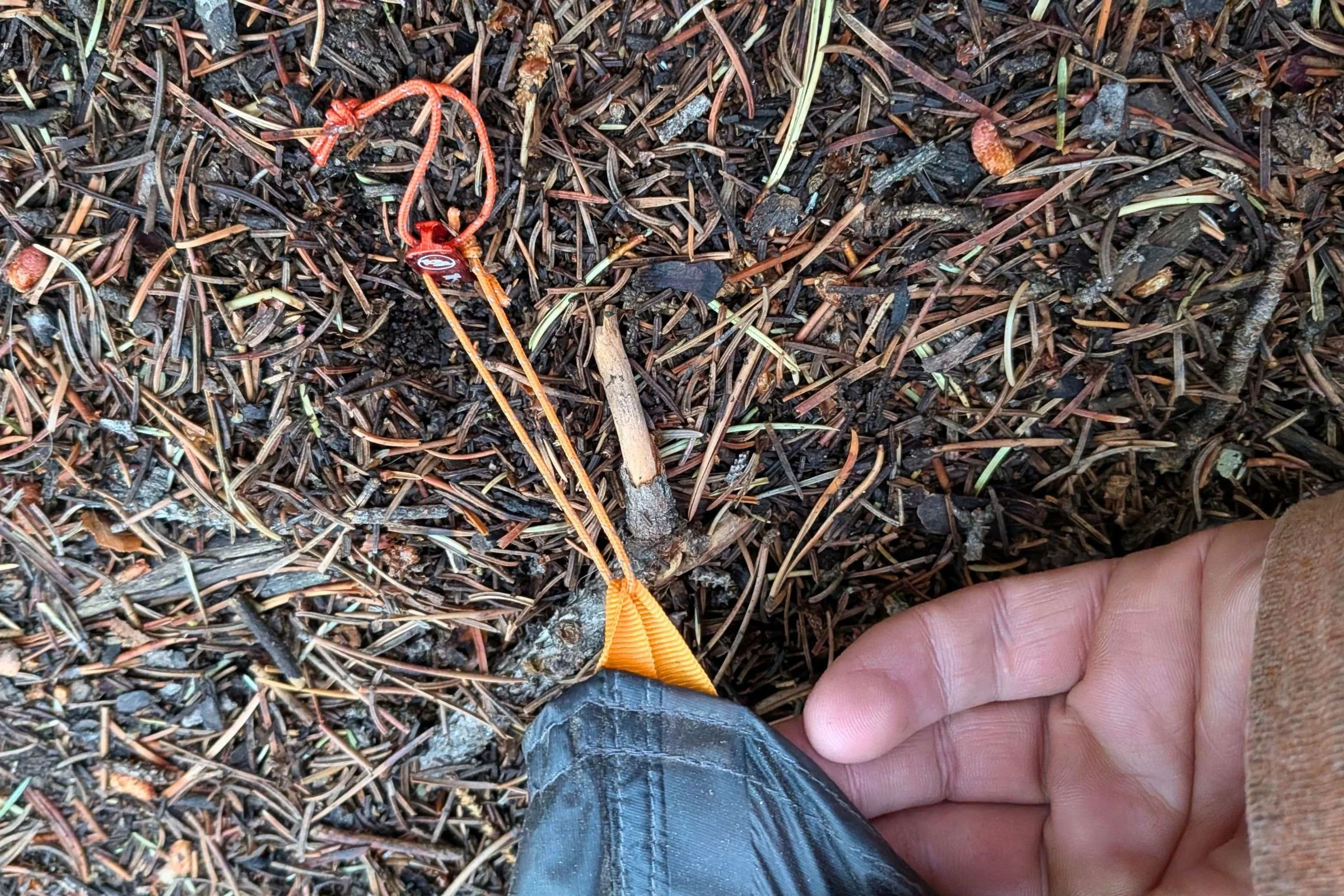 A closeup of the orange guyout line on the Big Agnes Tiger Wall UL1 Bikepack Tent.