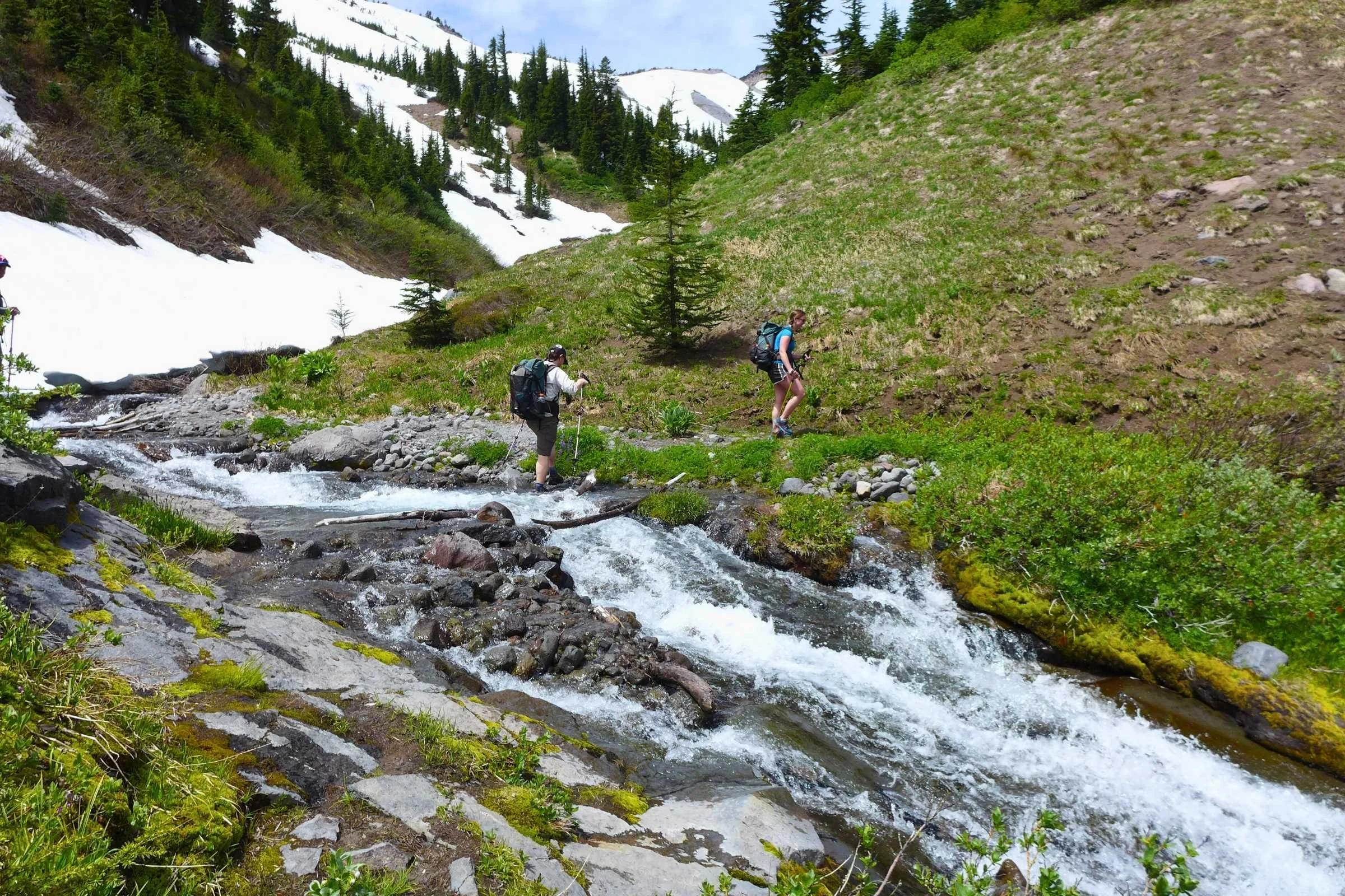 Timberline Where to Go Guide