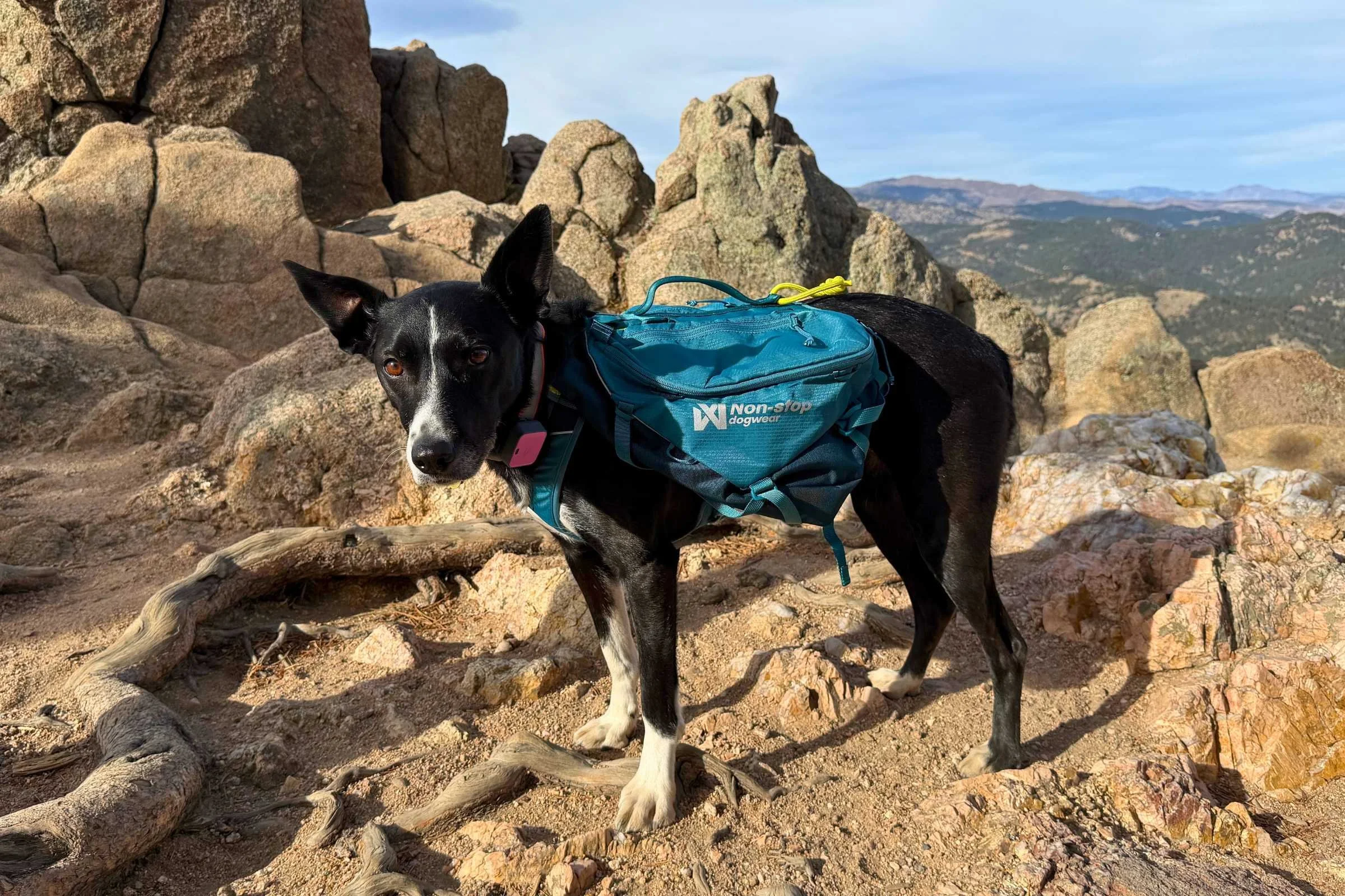 Side view of the Non-stop Dogwear Trail Quest Pack