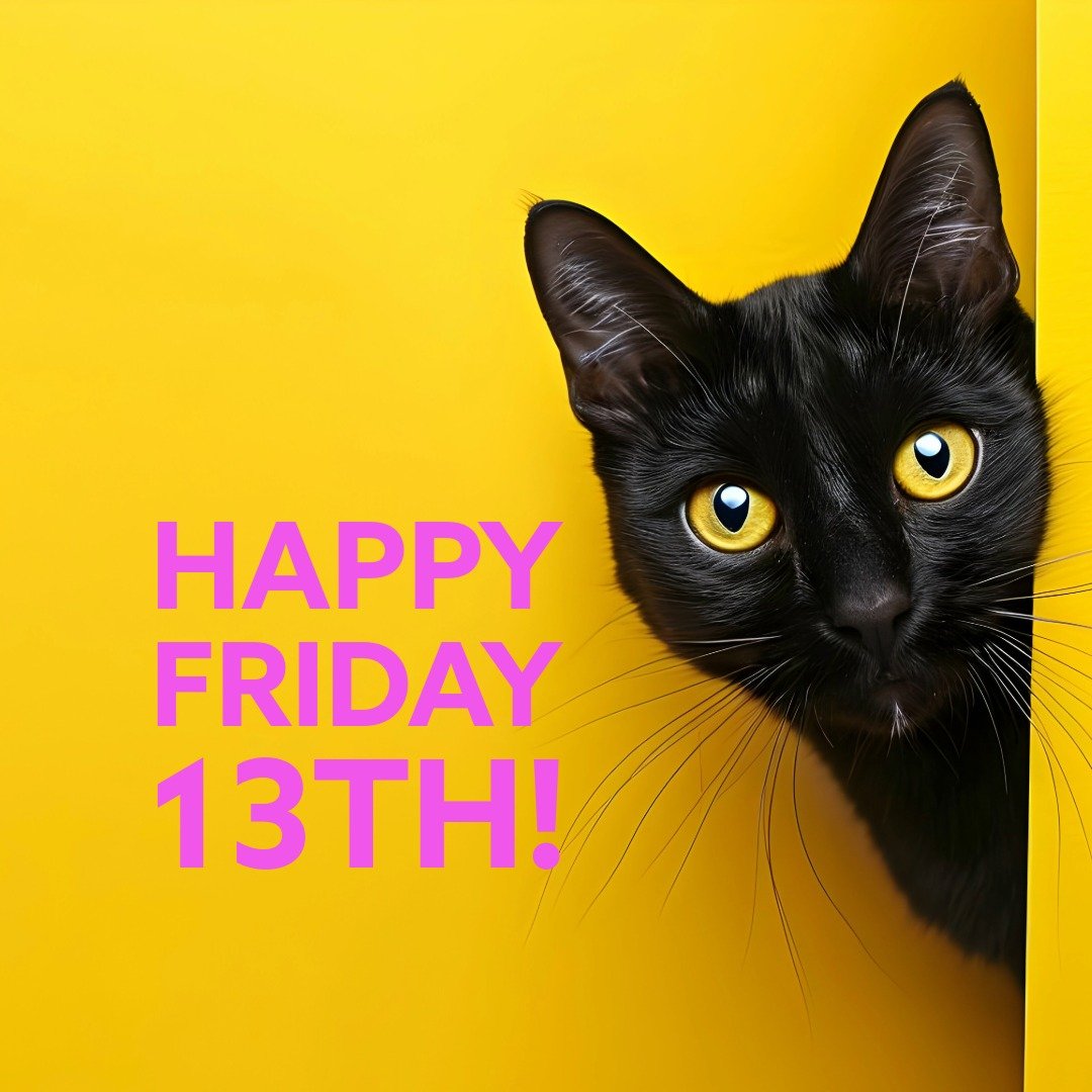 We're not scared of Fridays that fall on the 13th and we love black cats! We avoid walking under ladders, but that's just commonsense, right? 🌱😜🥳 🐈&zwj;⬛🥰 #fridaythe13th