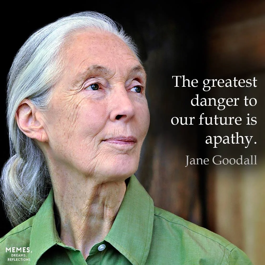 The natural world has lost a bright star. RIP Jane Goodall, who in a career spanning more than 7 decades proved that one  person can make a huge positive difference. Arohanui.