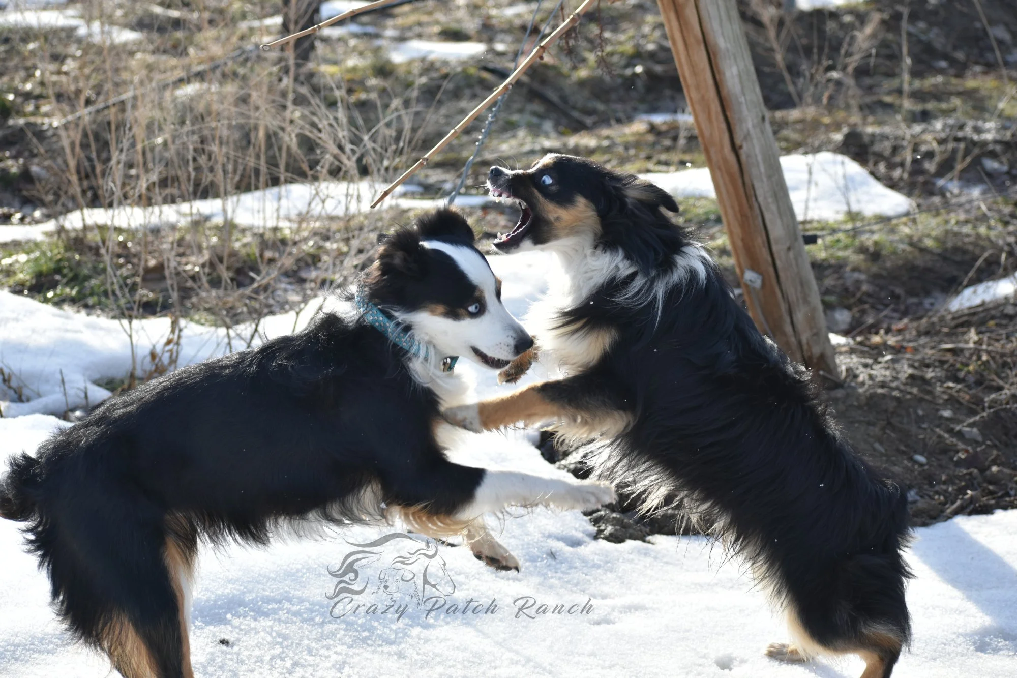 DSC_61942.JPG