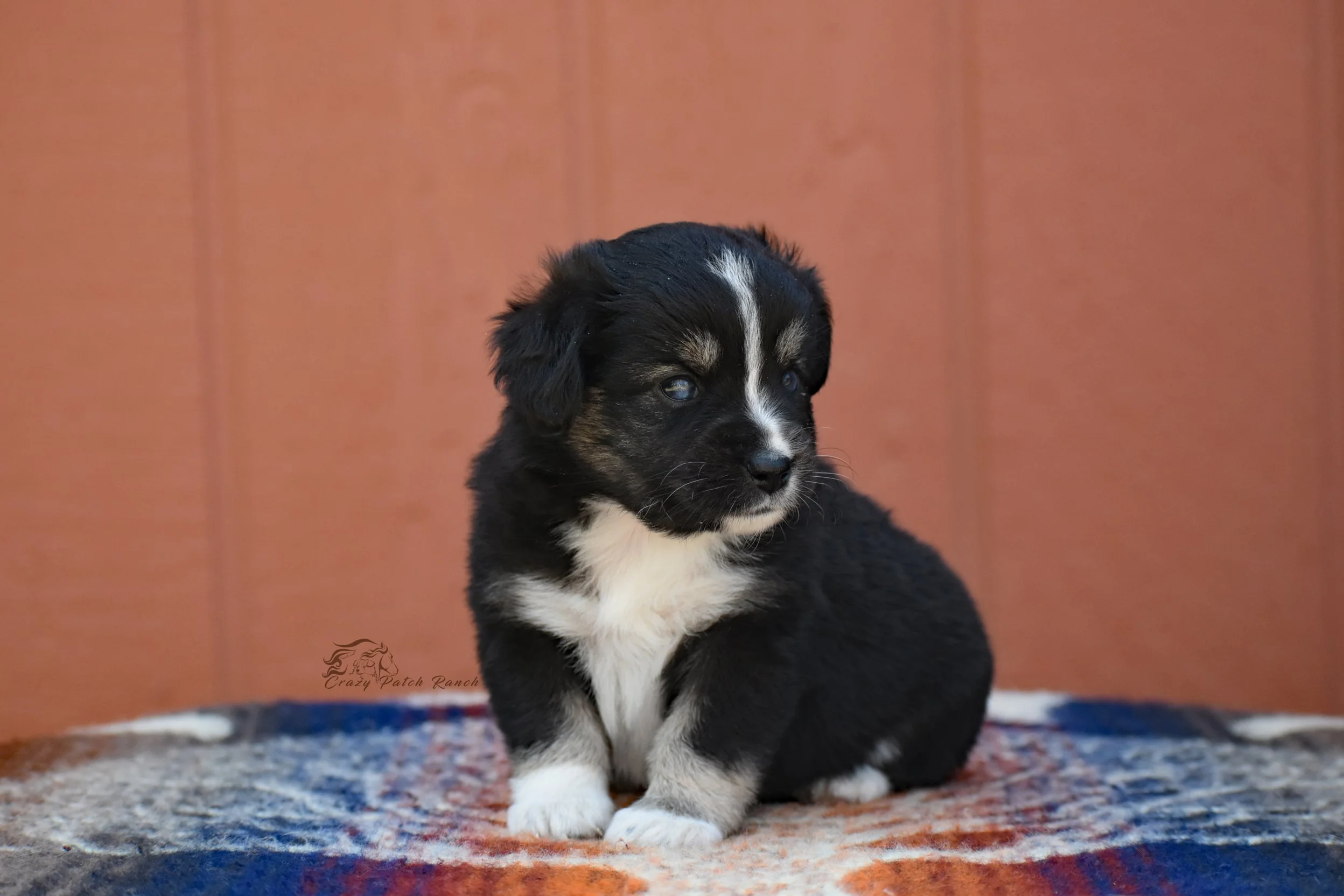 DSC_90011.jpg