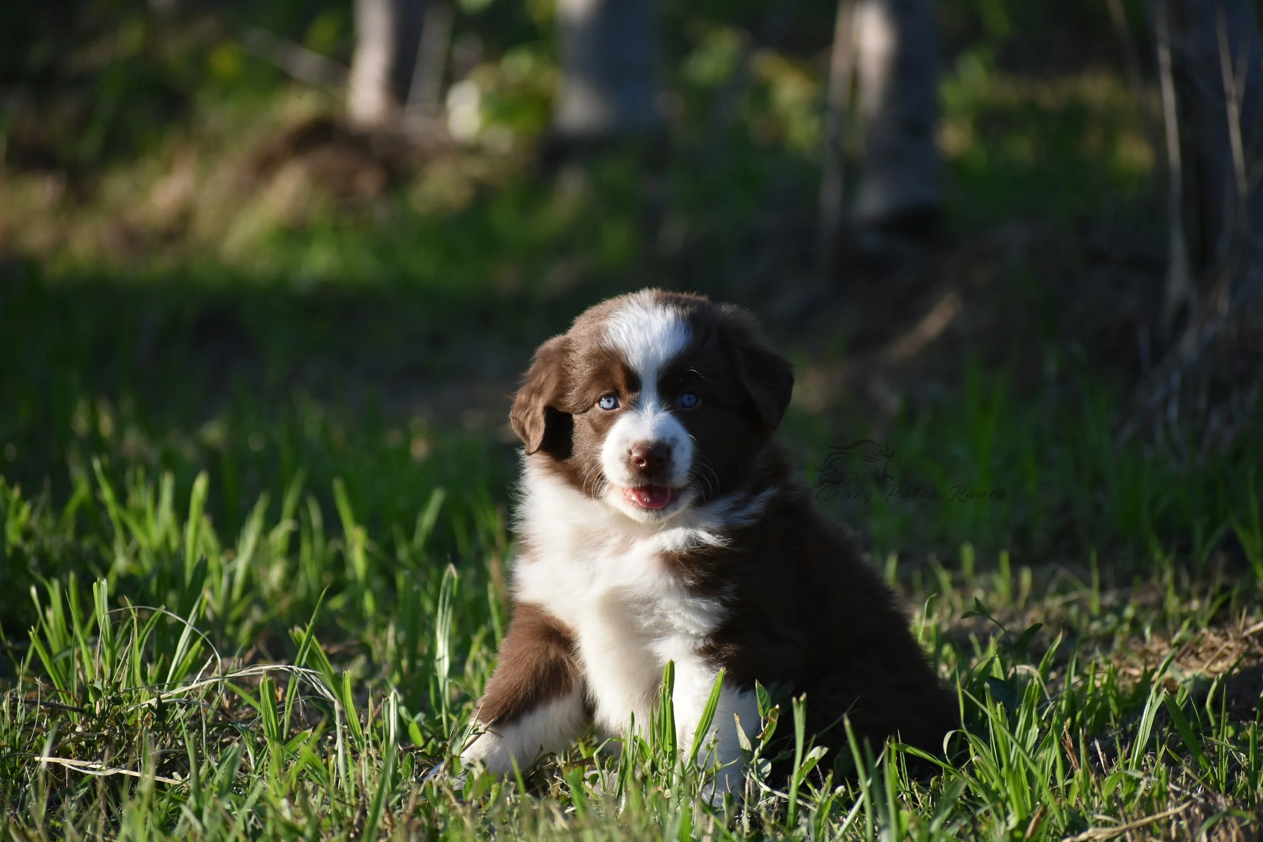 DSC_06111.jpg