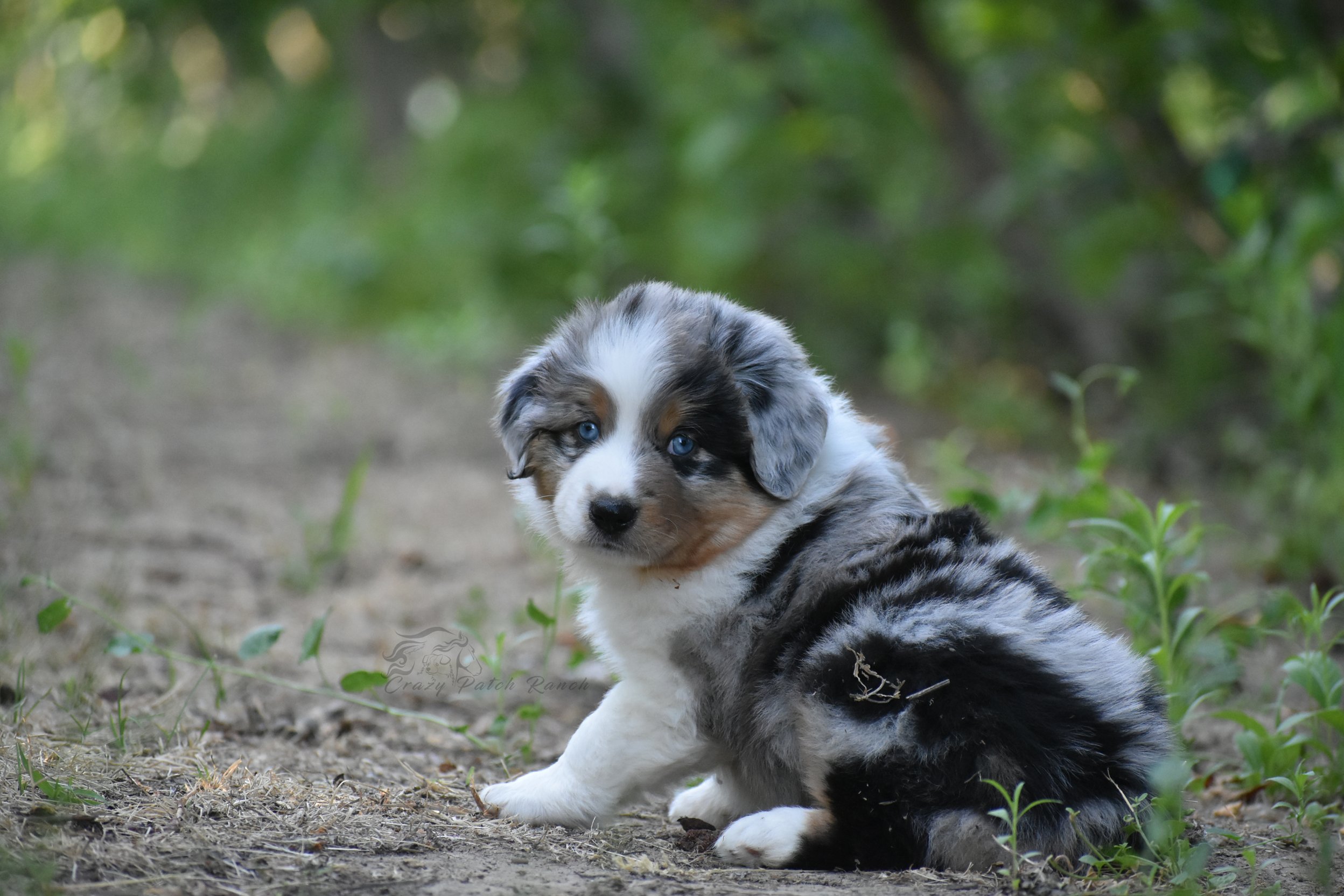 DSC_03581.jpg