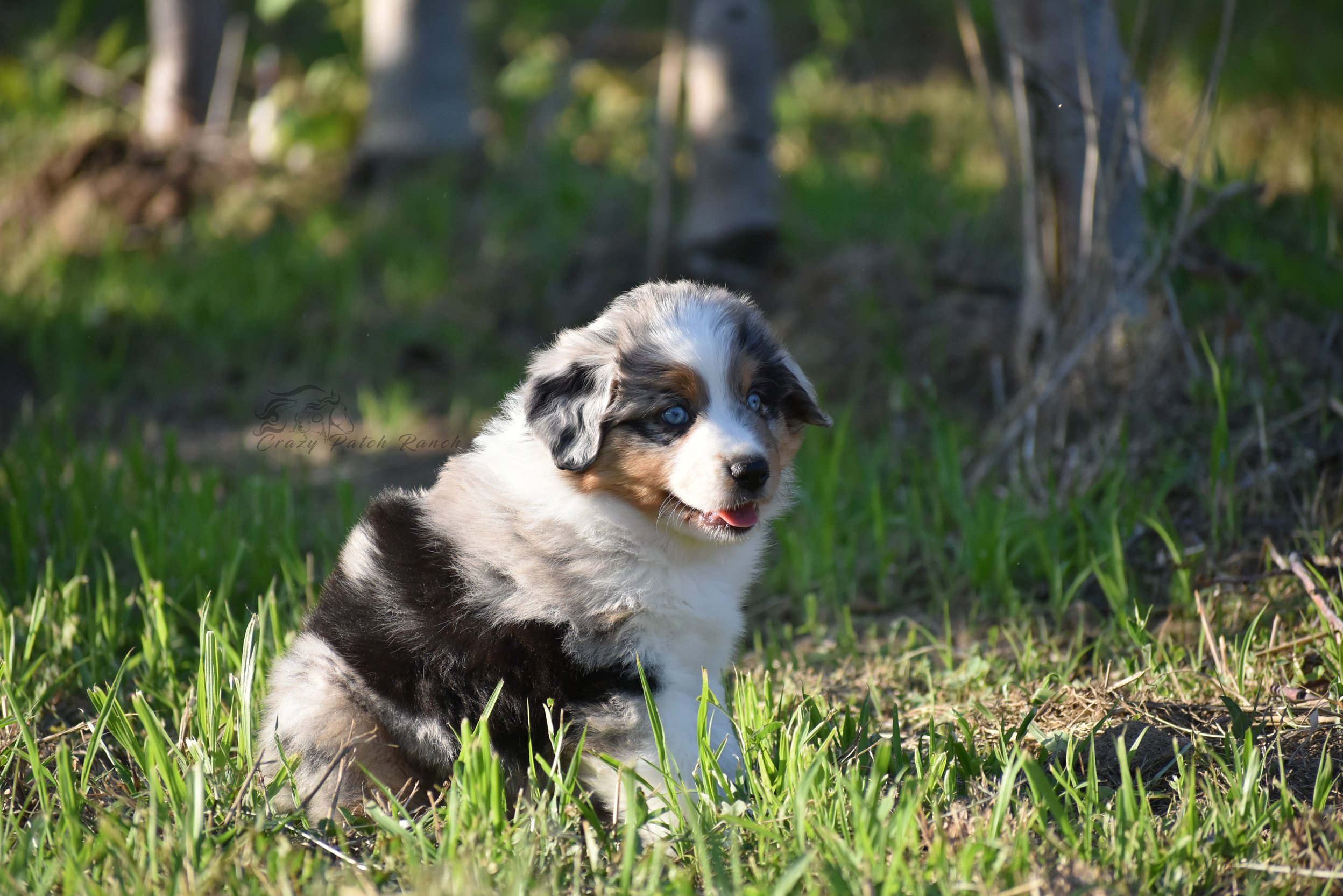 DSC_05631.jpg