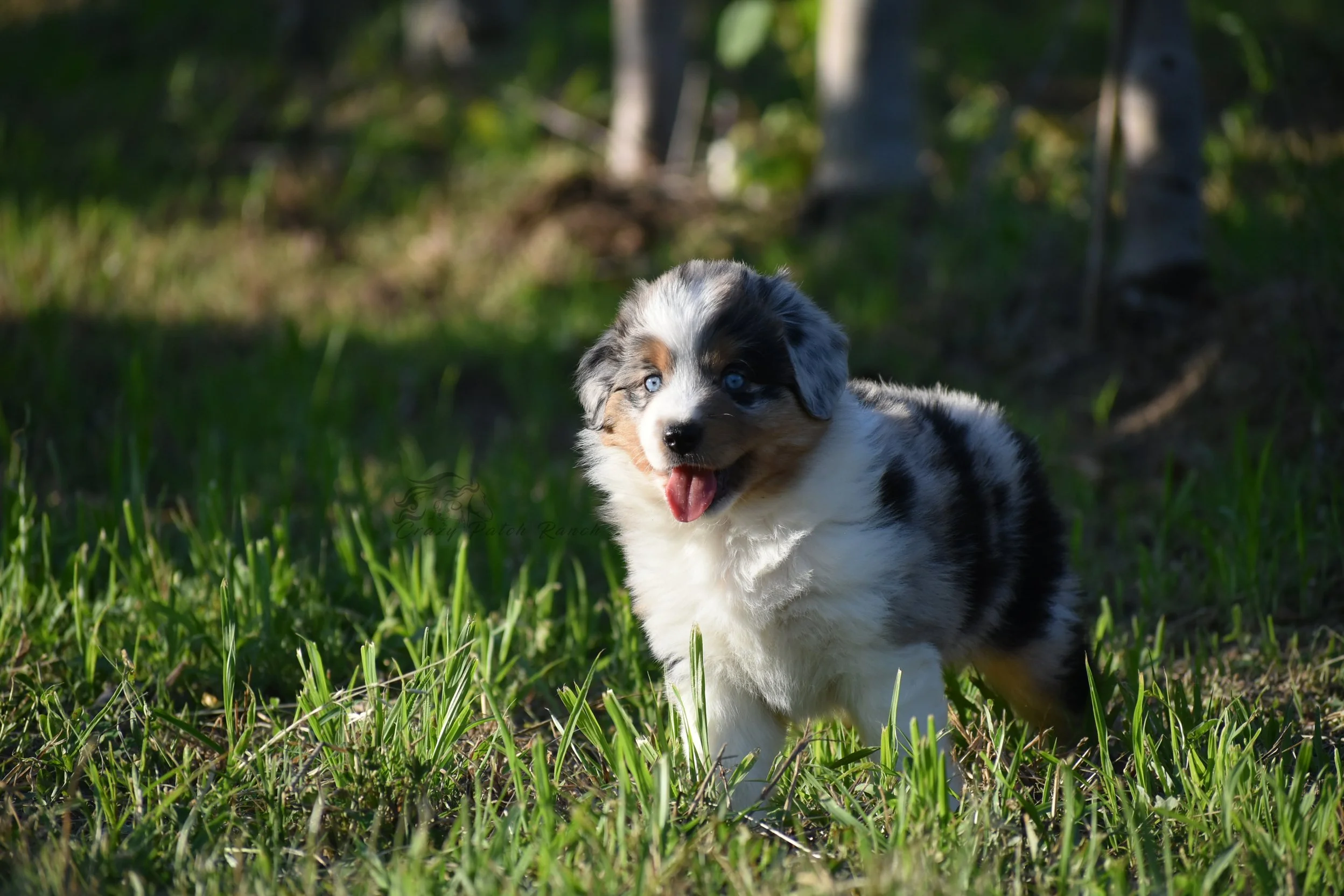 DSC_05811.jpg