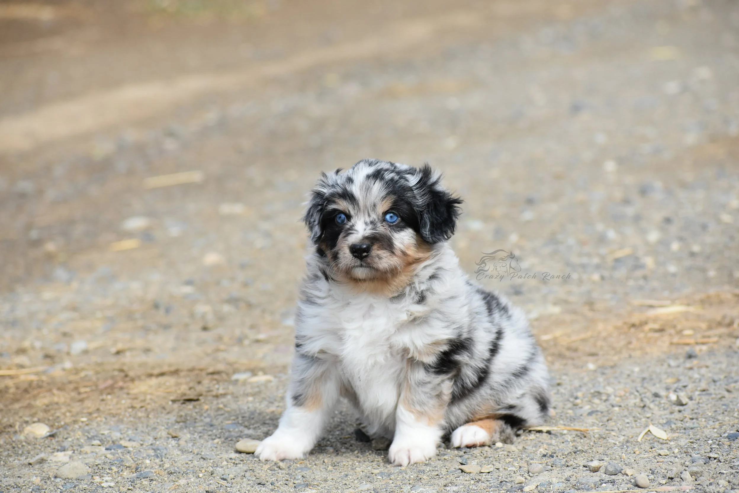 DSC_23521.jpg