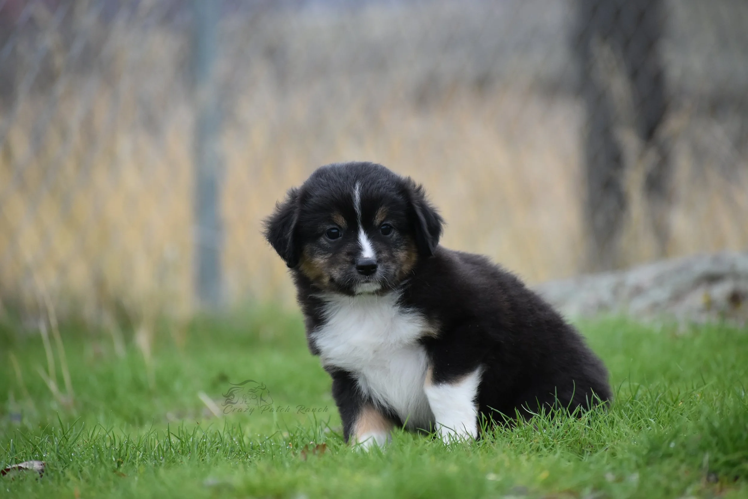 DSC_35571.jpg