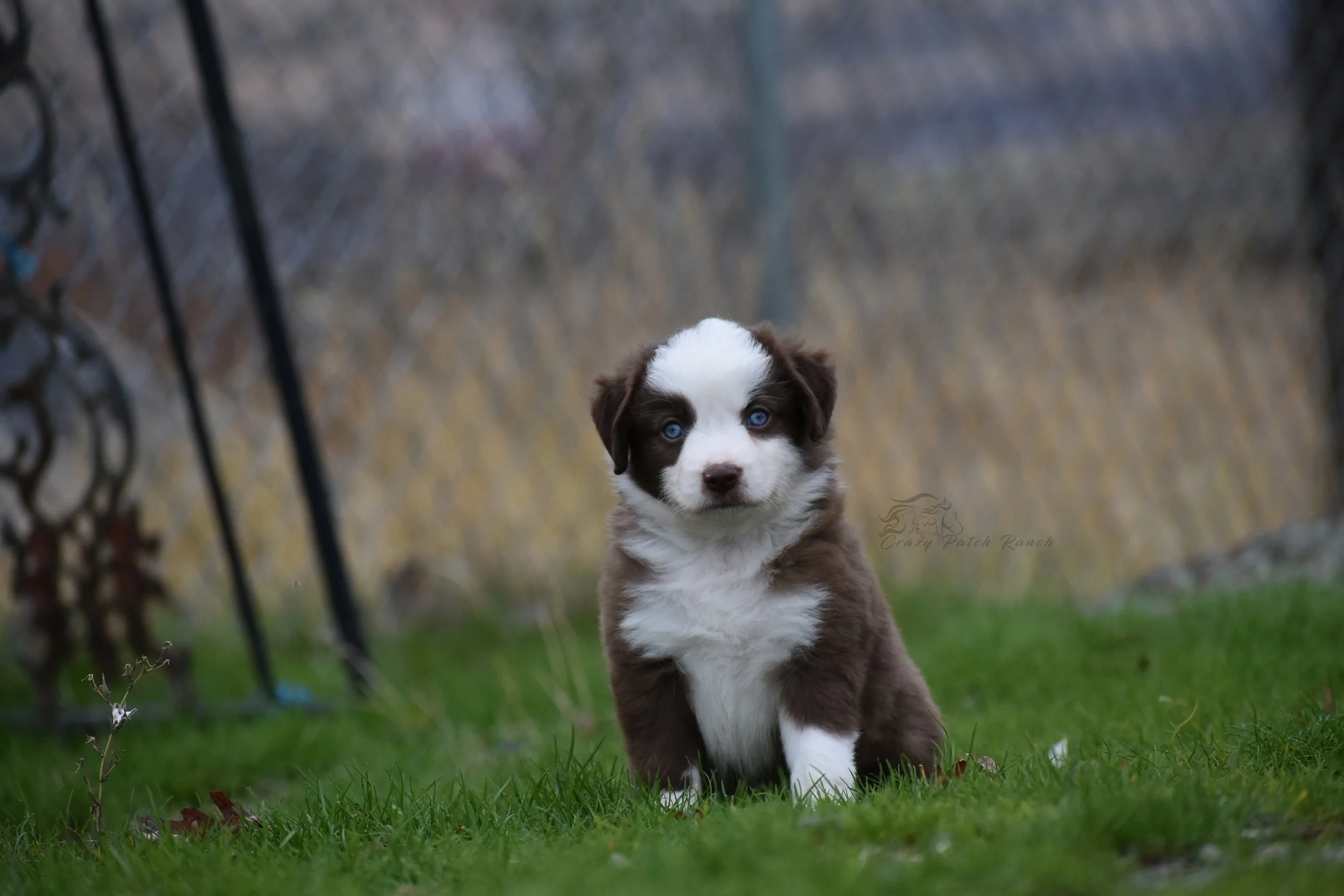 DSC_37581.jpg