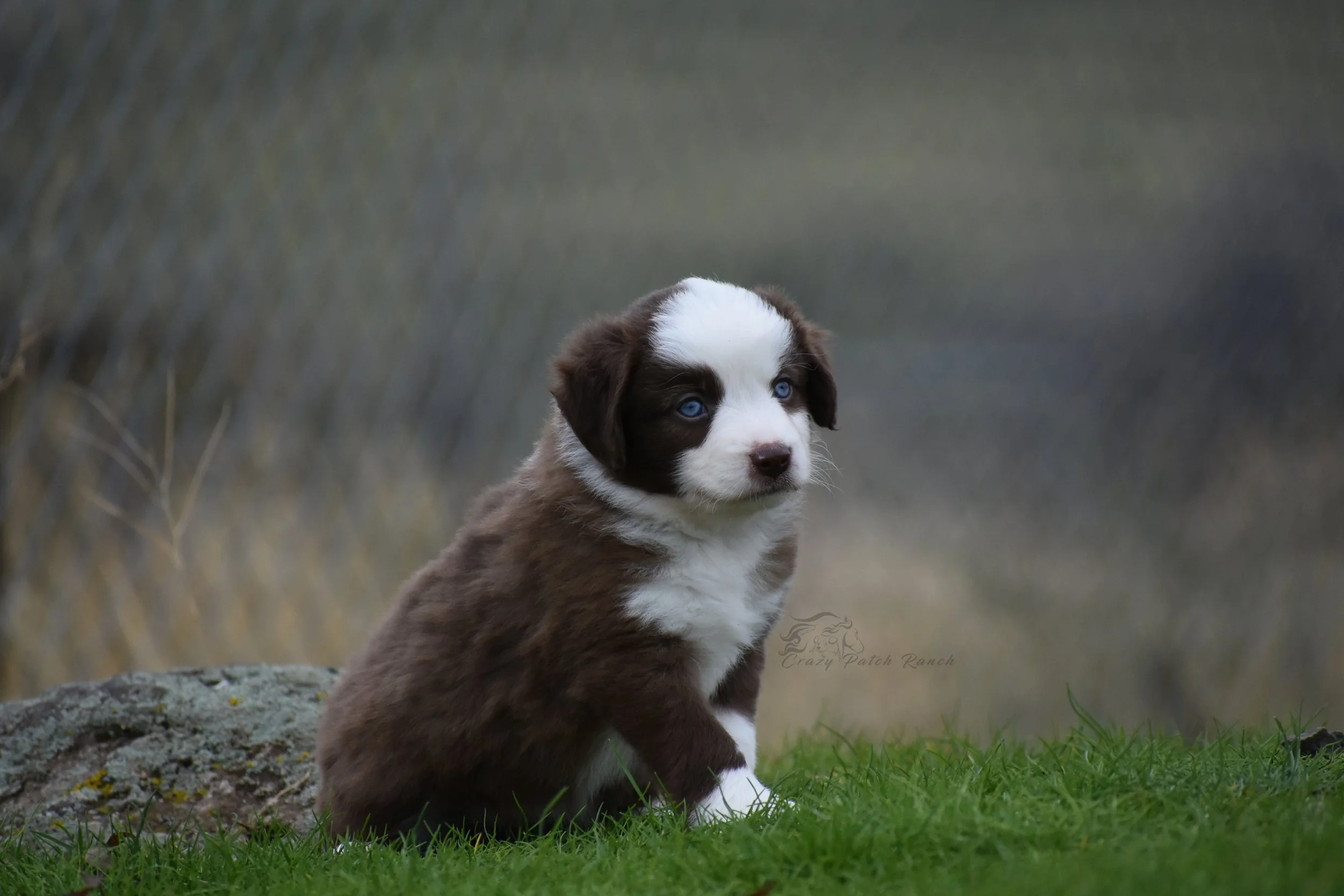 DSC_37771.jpg