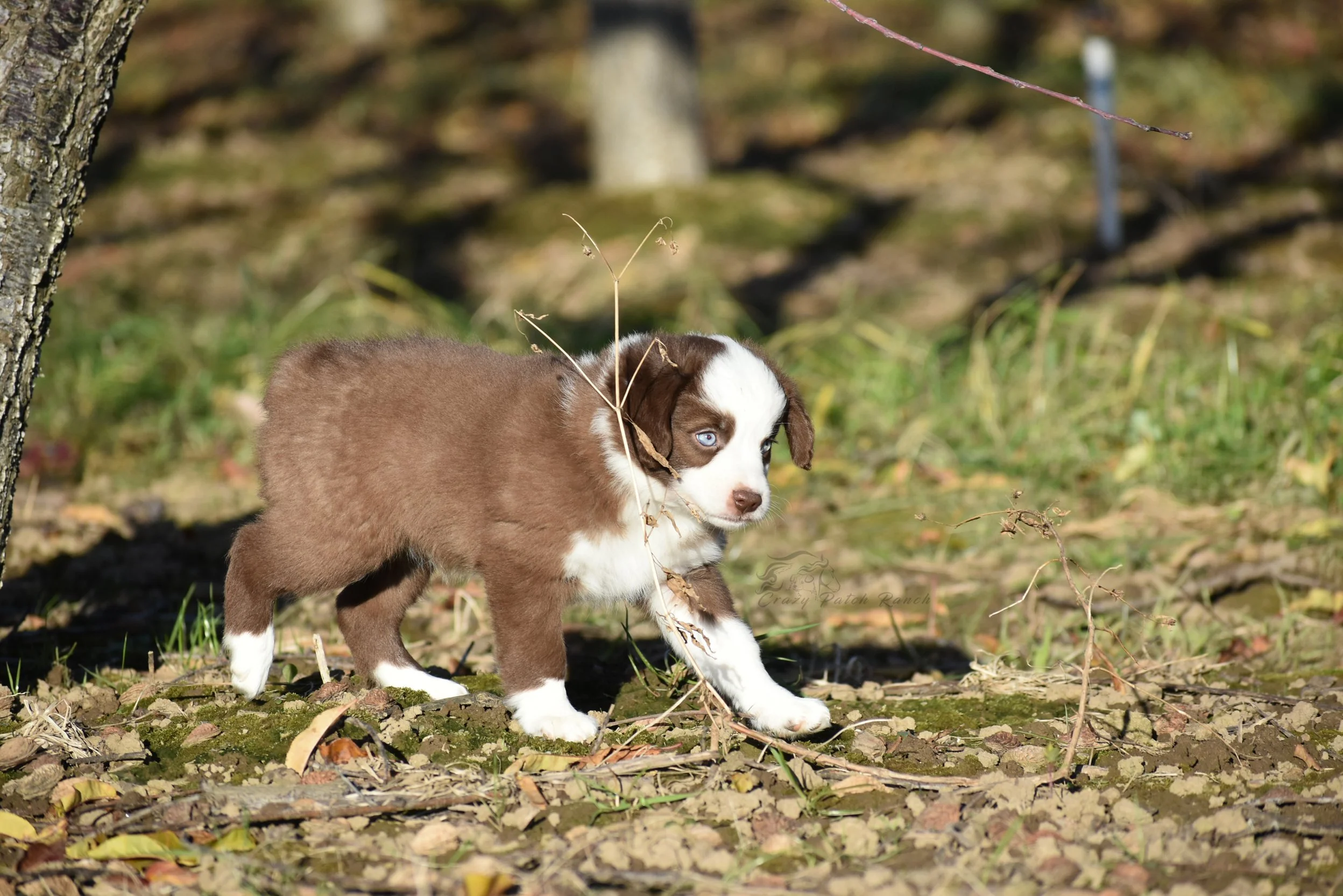 DSC_38572.jpg