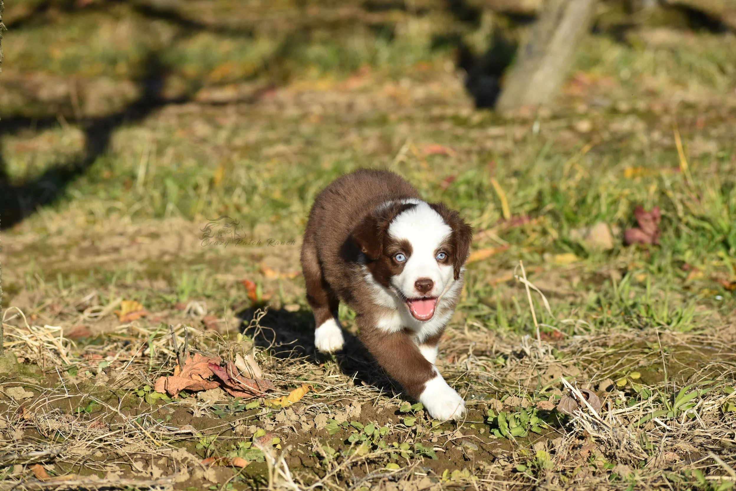 DSC_38662.jpg