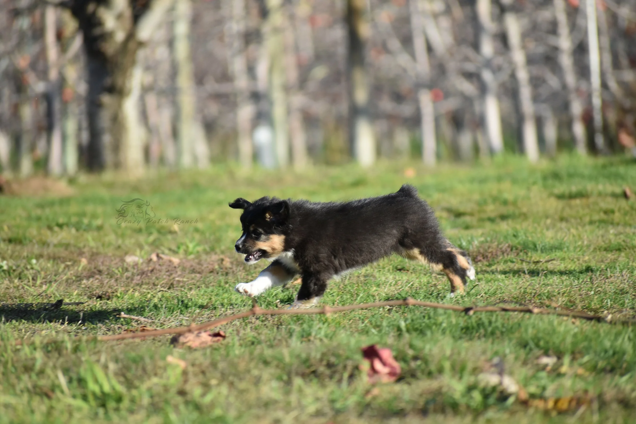 DSC_39222.jpg