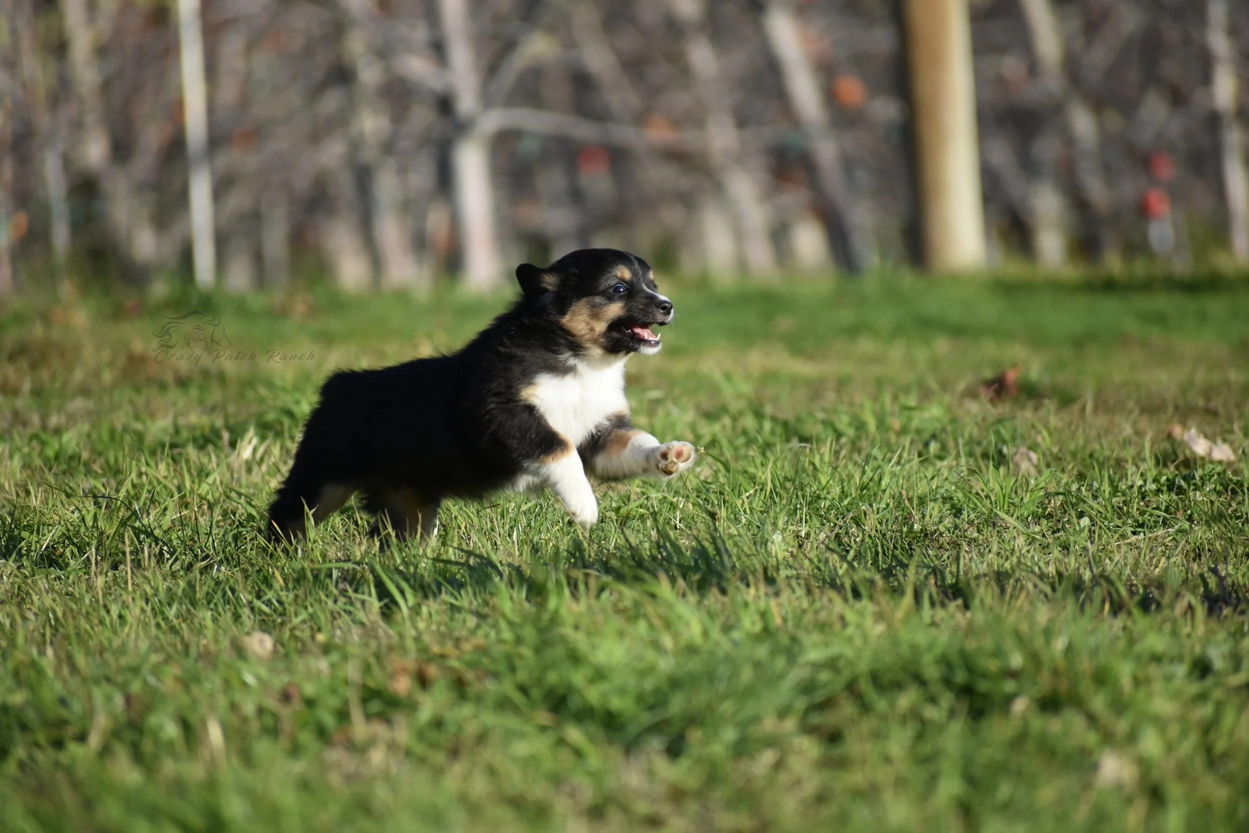DSC_39512.jpg