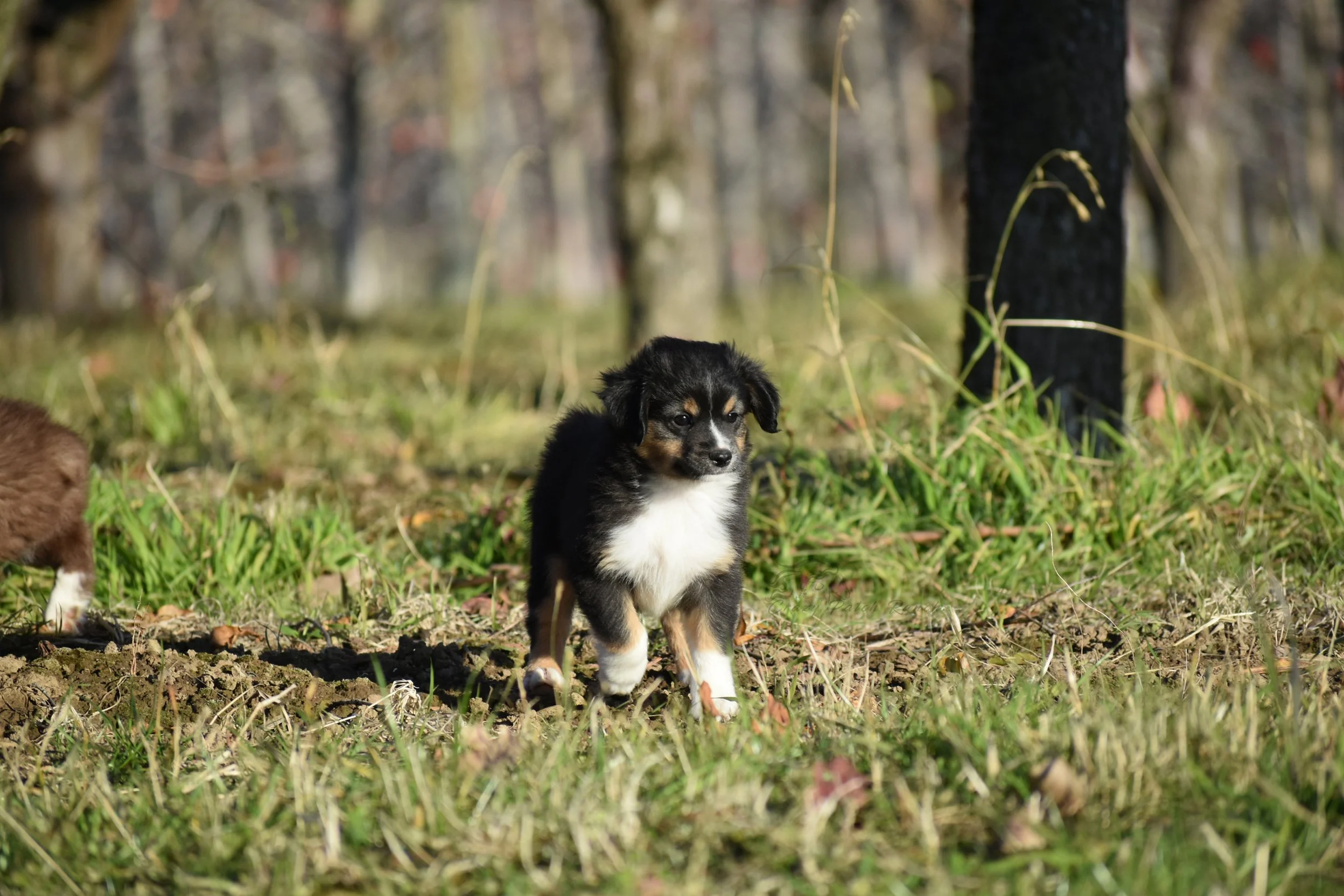 DSC_40252.jpg