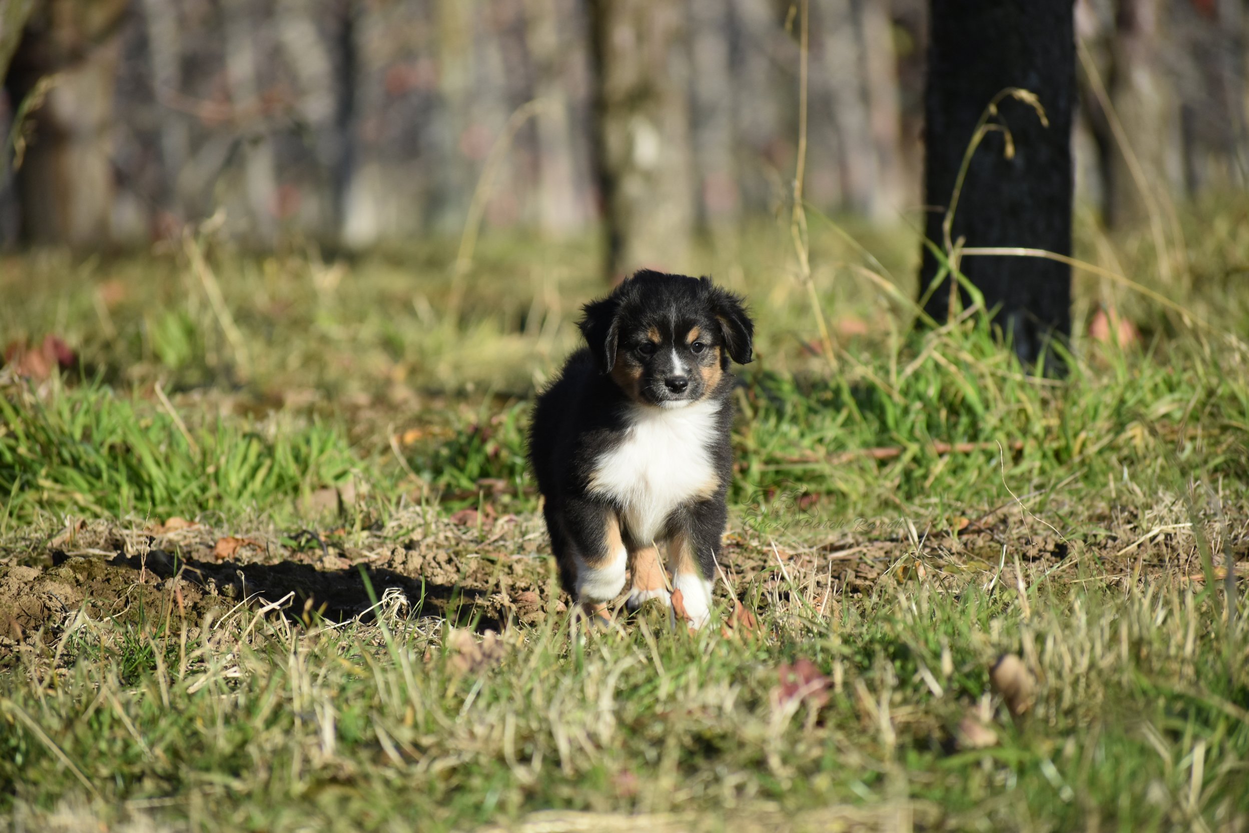 DSC_40282.jpg