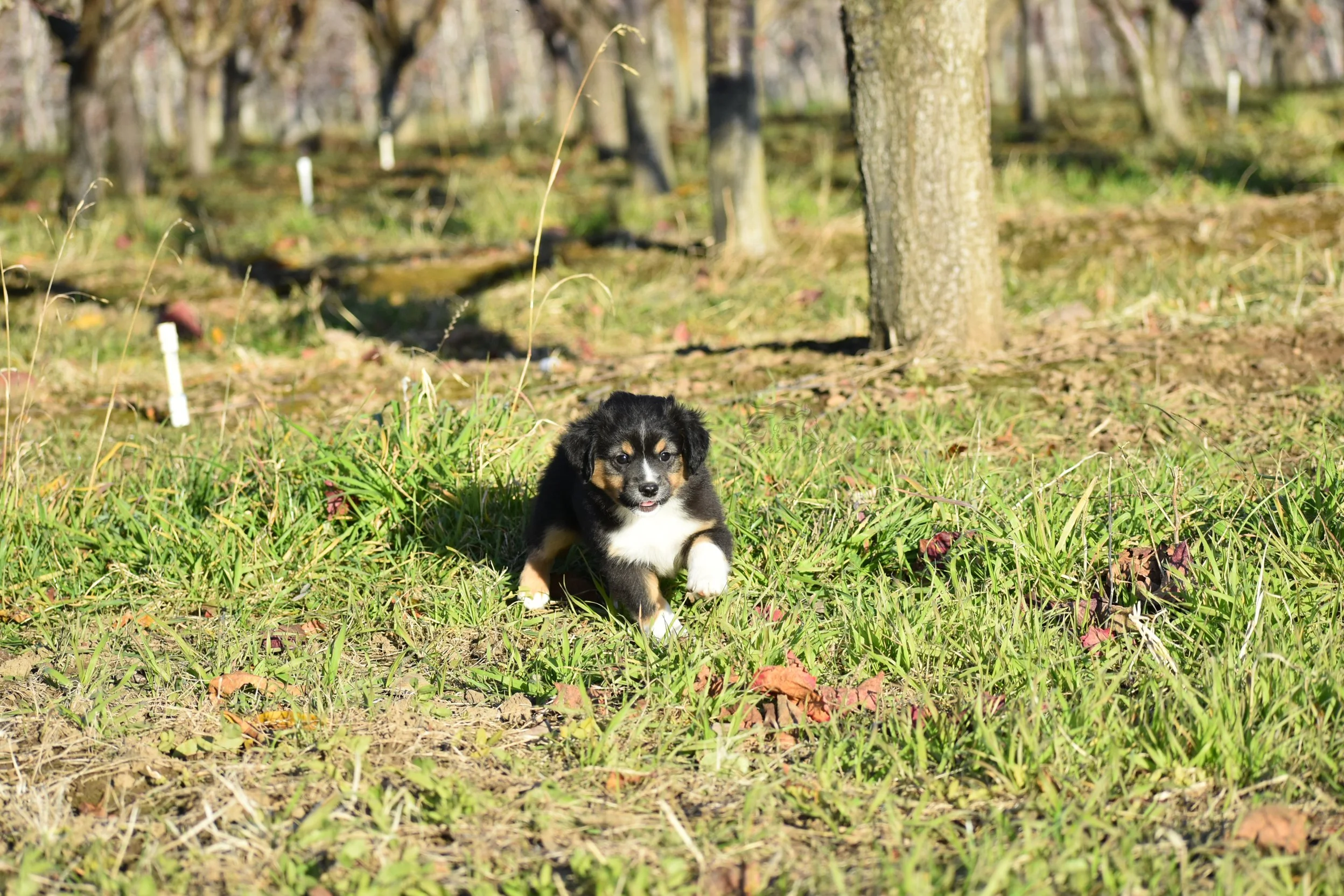 DSC_40662.jpg
