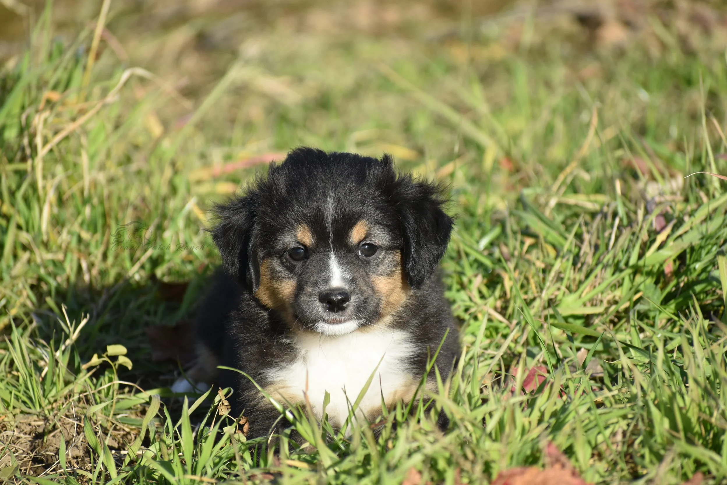 DSC_40762.jpg
