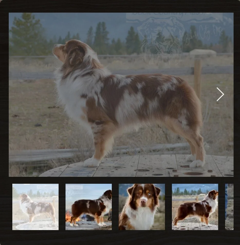 Screenshot 2026-03-04 144227.jpg