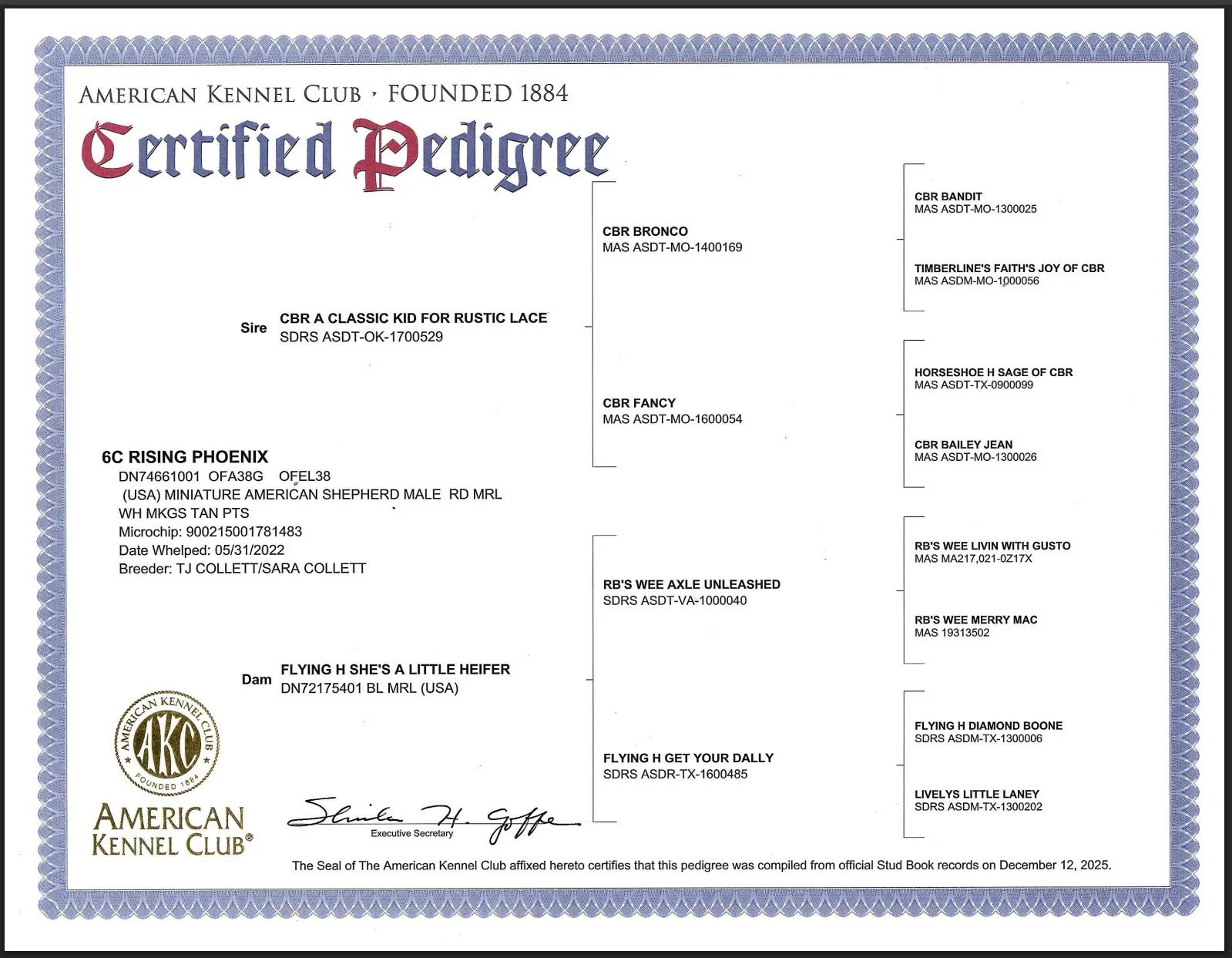 phoenix pedigree.jpg