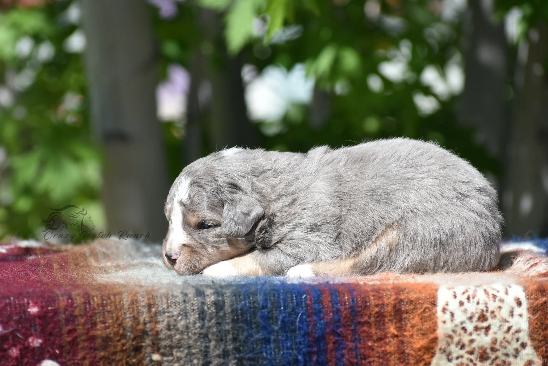 DSC_33891.jpg