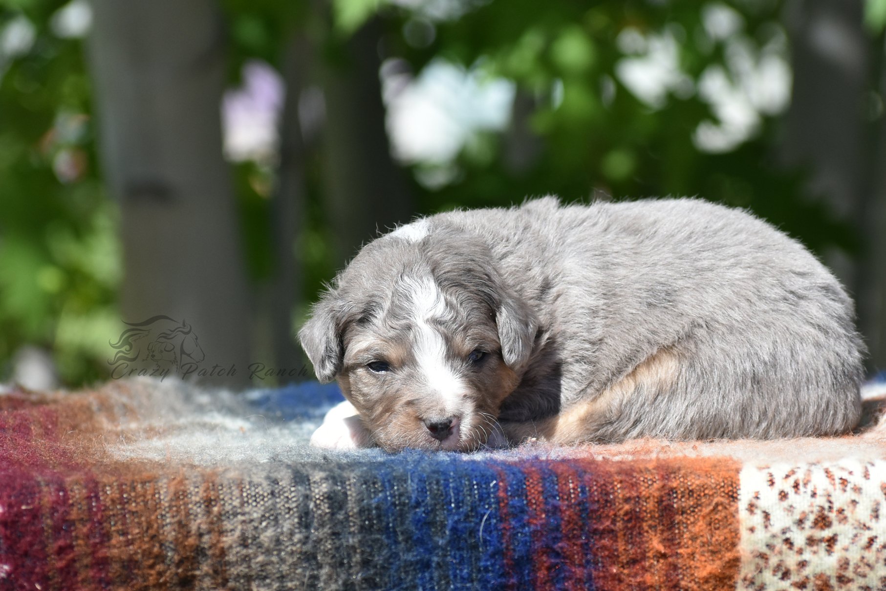 DSC_33941.jpg