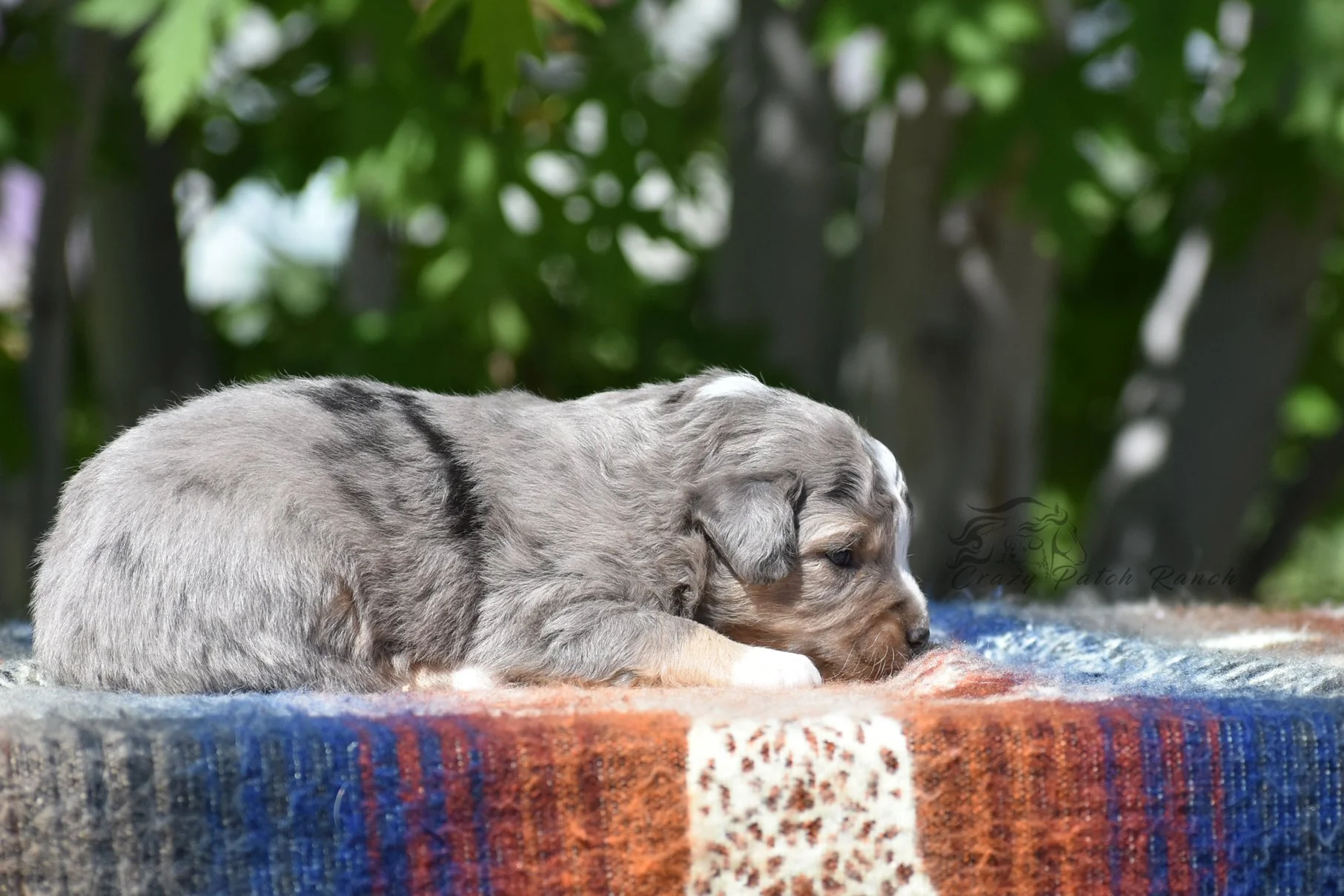DSC_34061.jpg