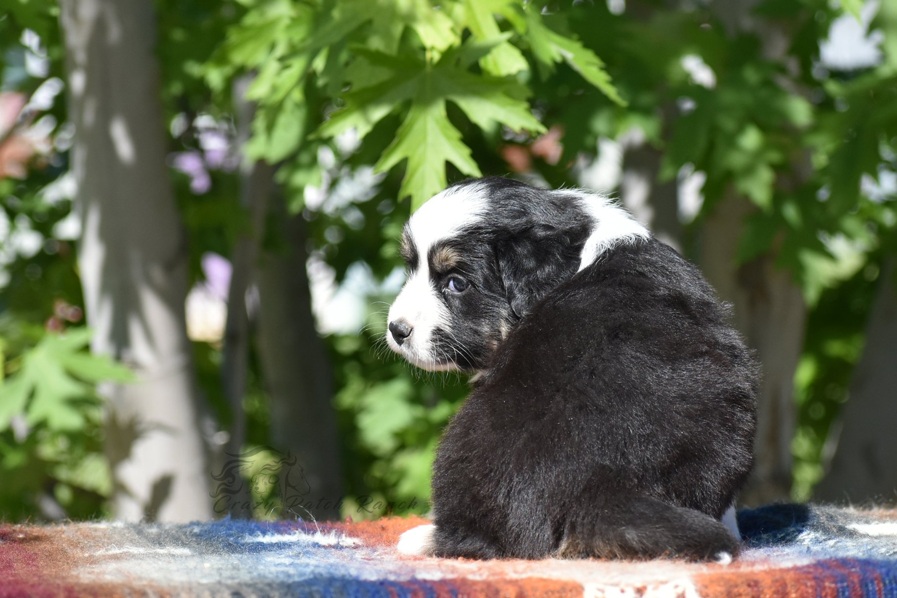 DSC_31041.jpg