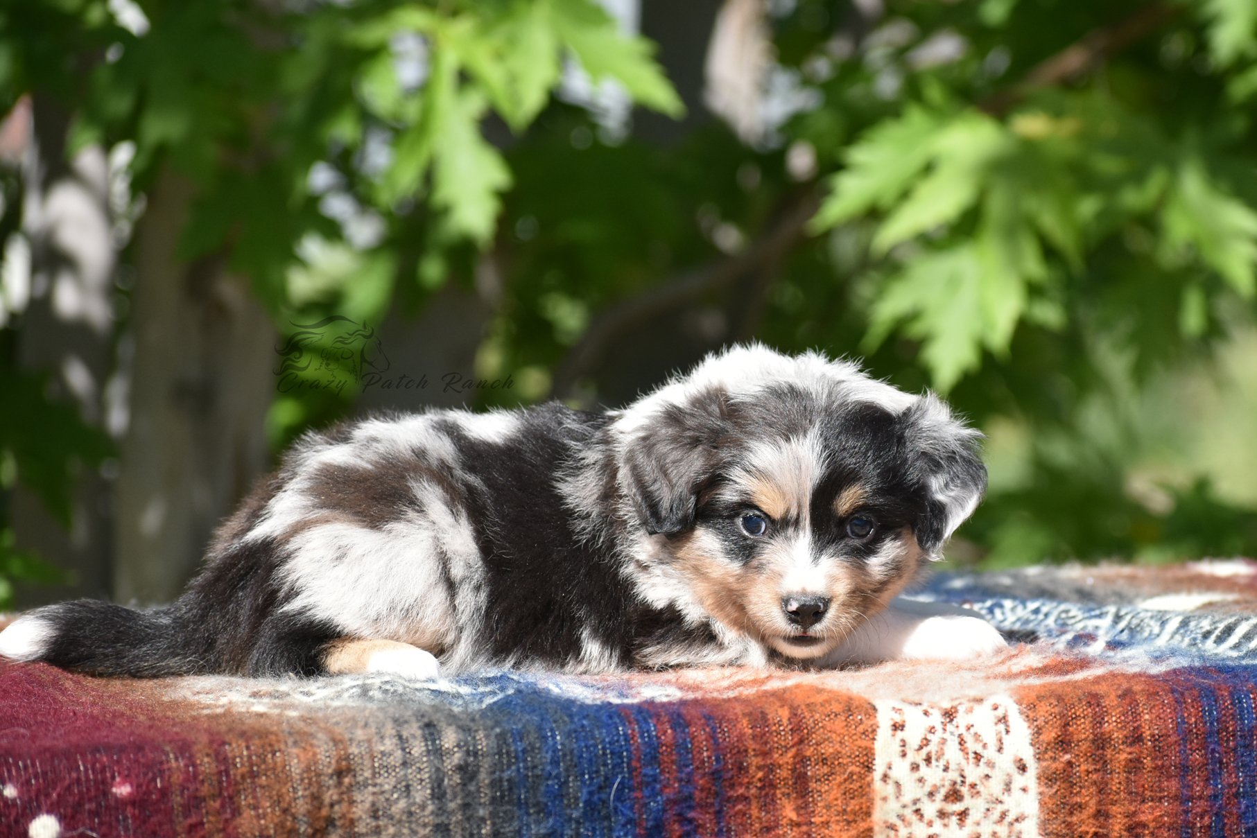 DSC_29621.jpg