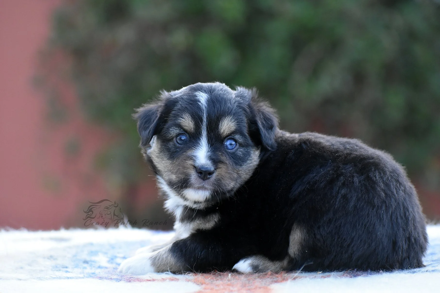 DSC_38611.jpg