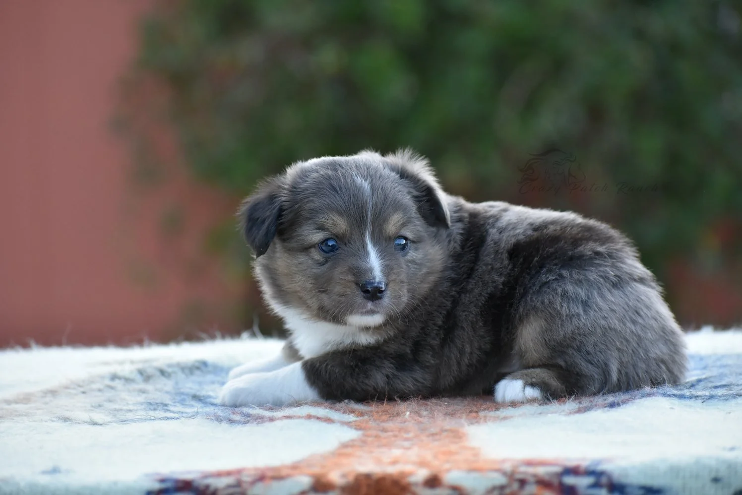 DSC_37471.jpg