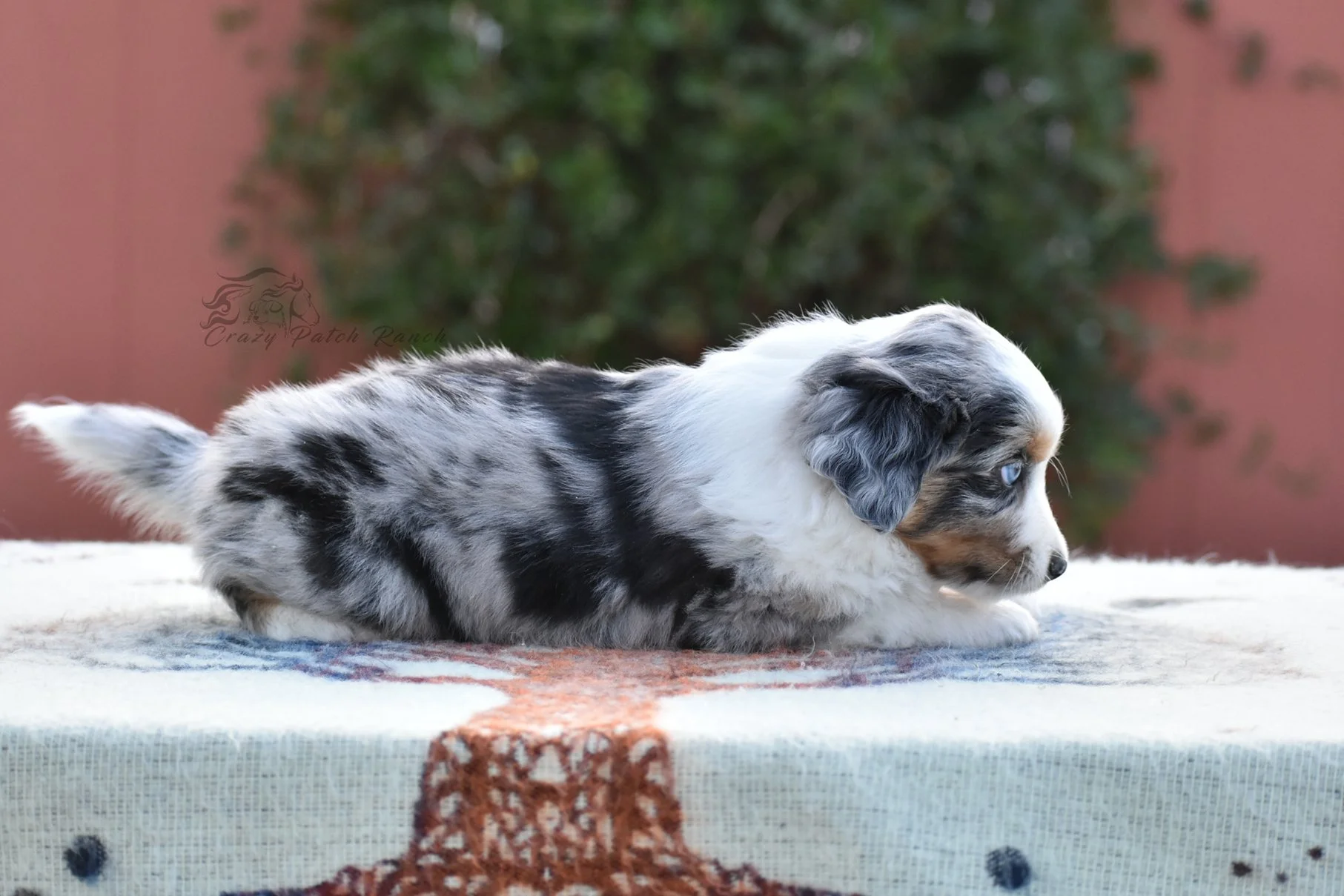 DSC_35211.jpg