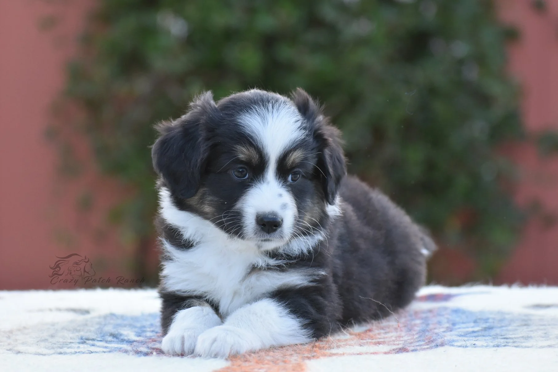DSC_35371.jpg