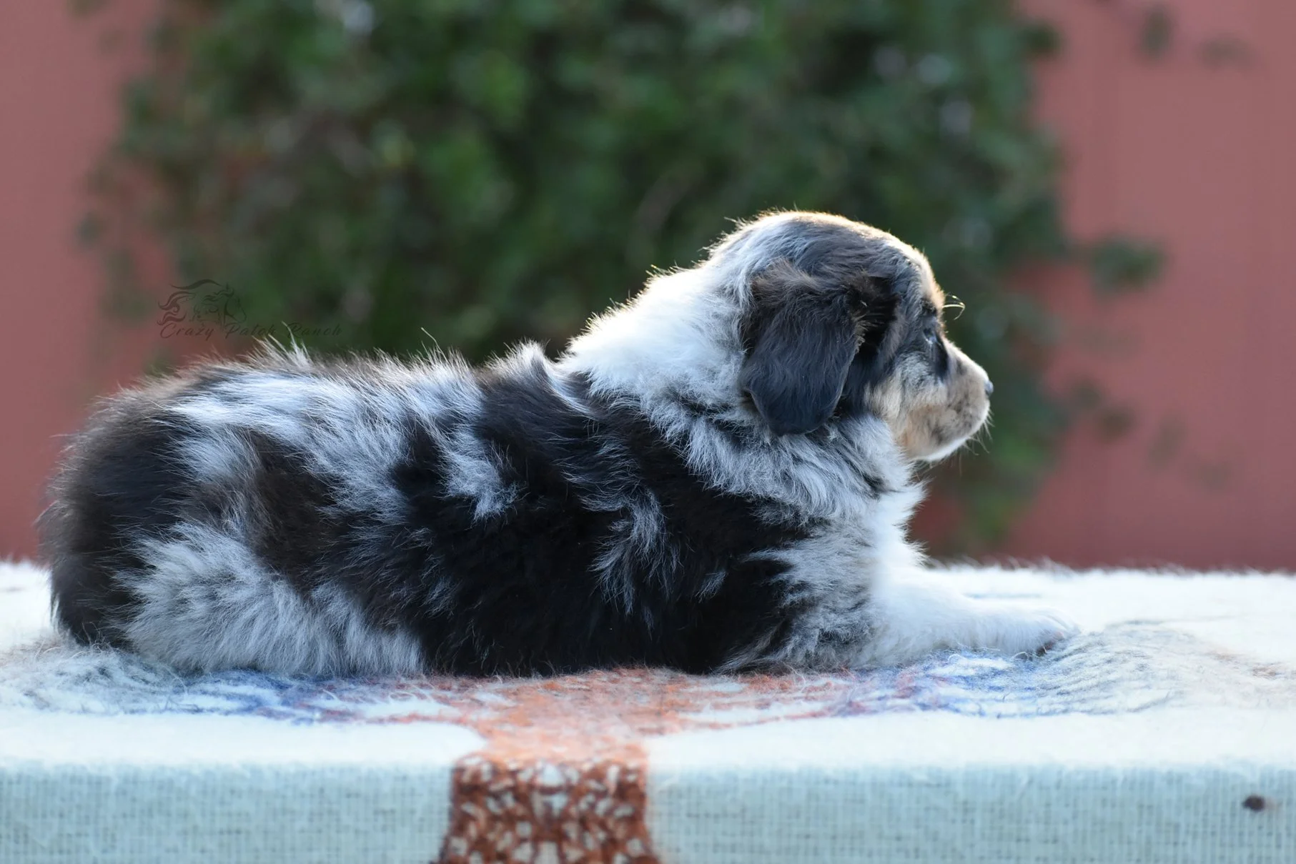 DSC_34821.jpg